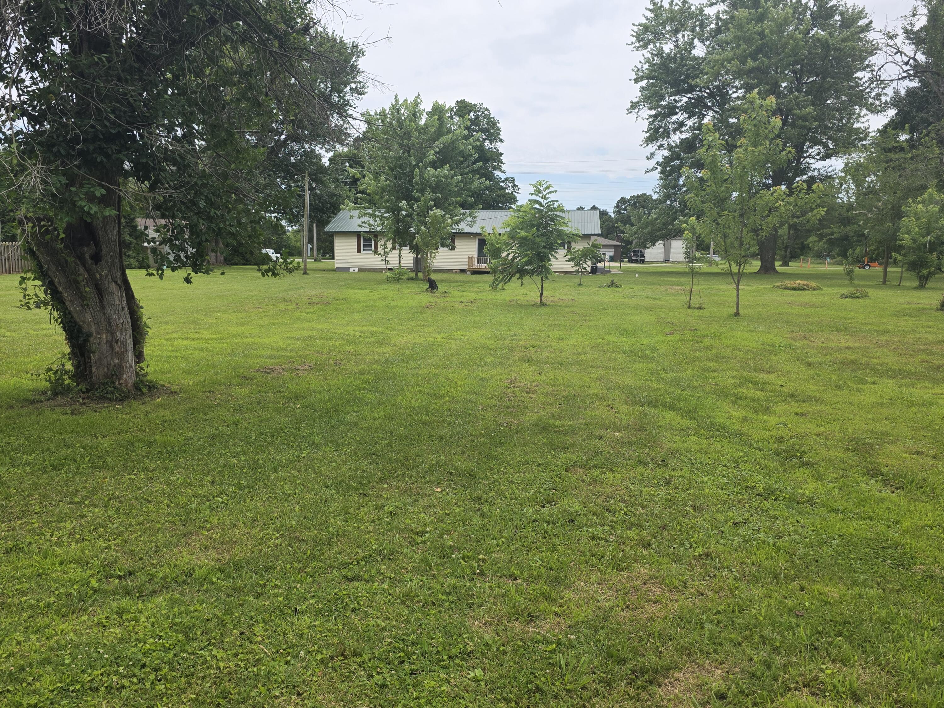 Photo 8 - Residential for sale – 1005 W Clouse Street  Mountain Grove, MO