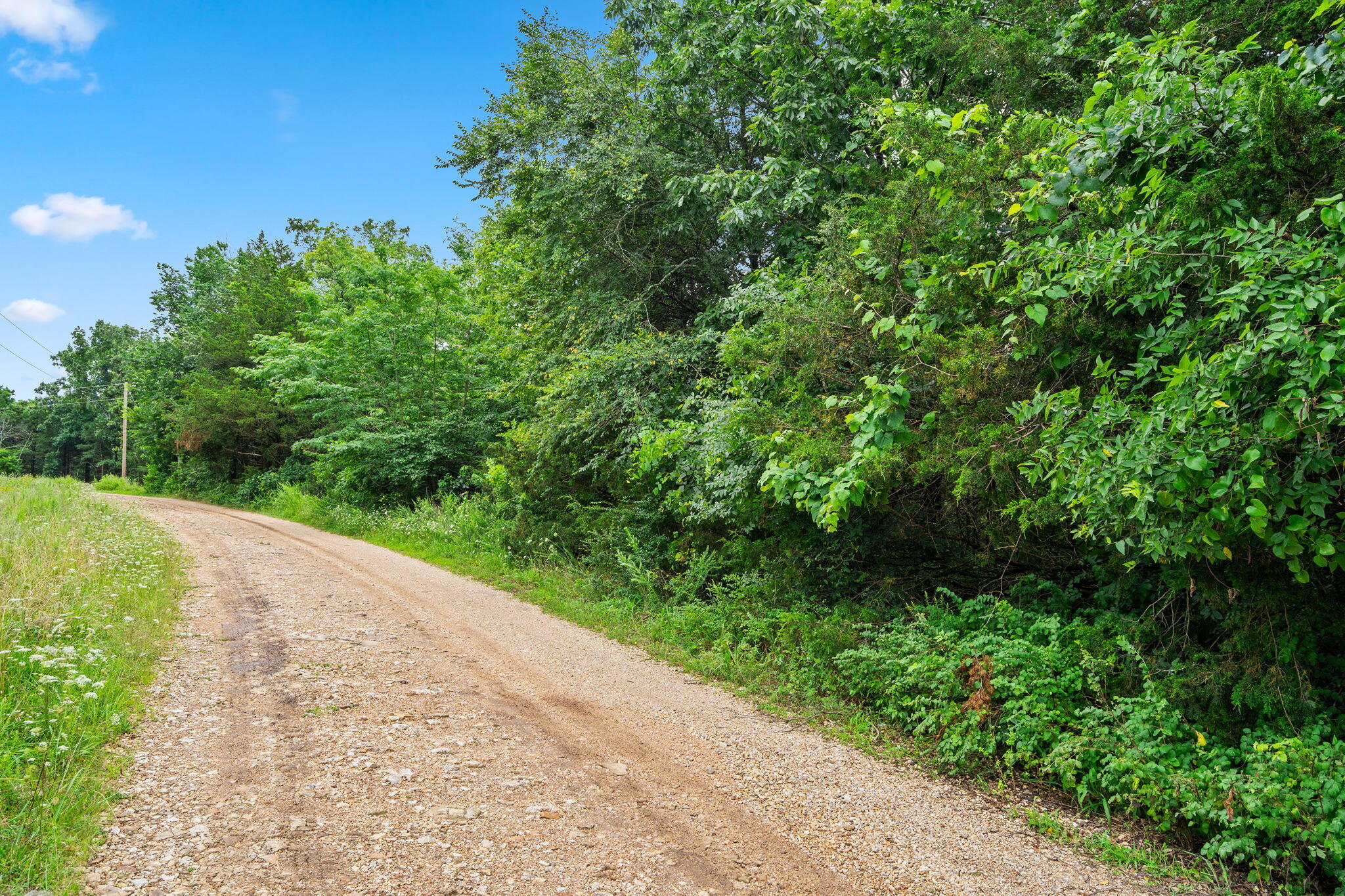 Photo 4 - Land for sale – Lot 23  Cedar Reef   Lampe, MO