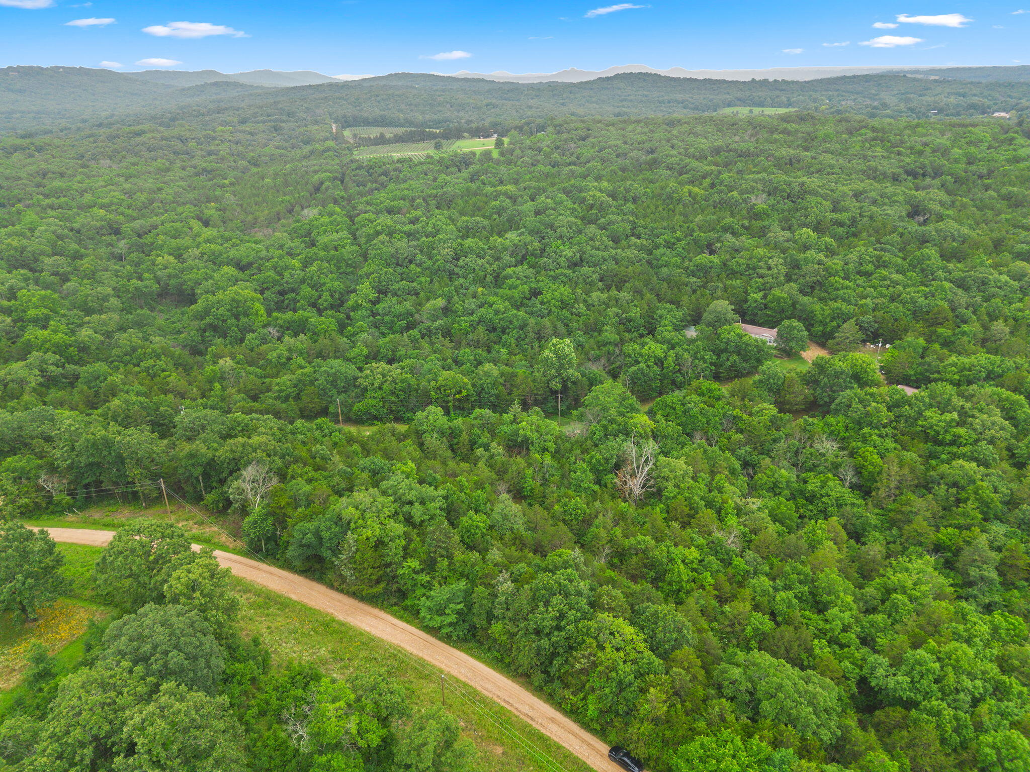 Photo 6 - Land for sale – Lot 23  Cedar Reef   Lampe, MO