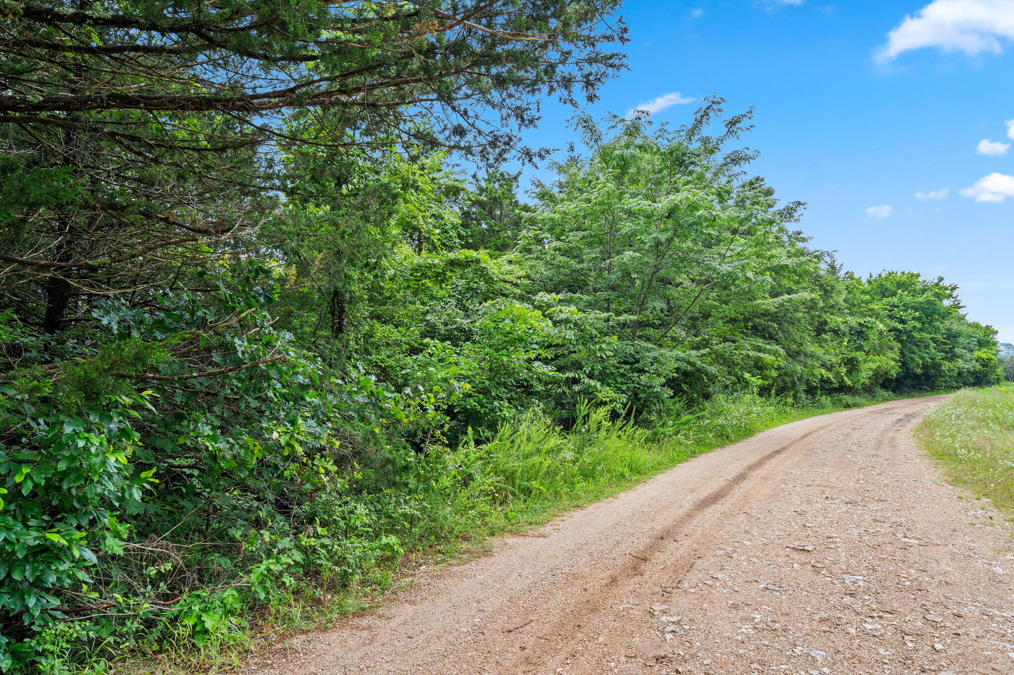Photo 5 - Land for sale – Lot 23  Cedar Reef   Lampe, MO