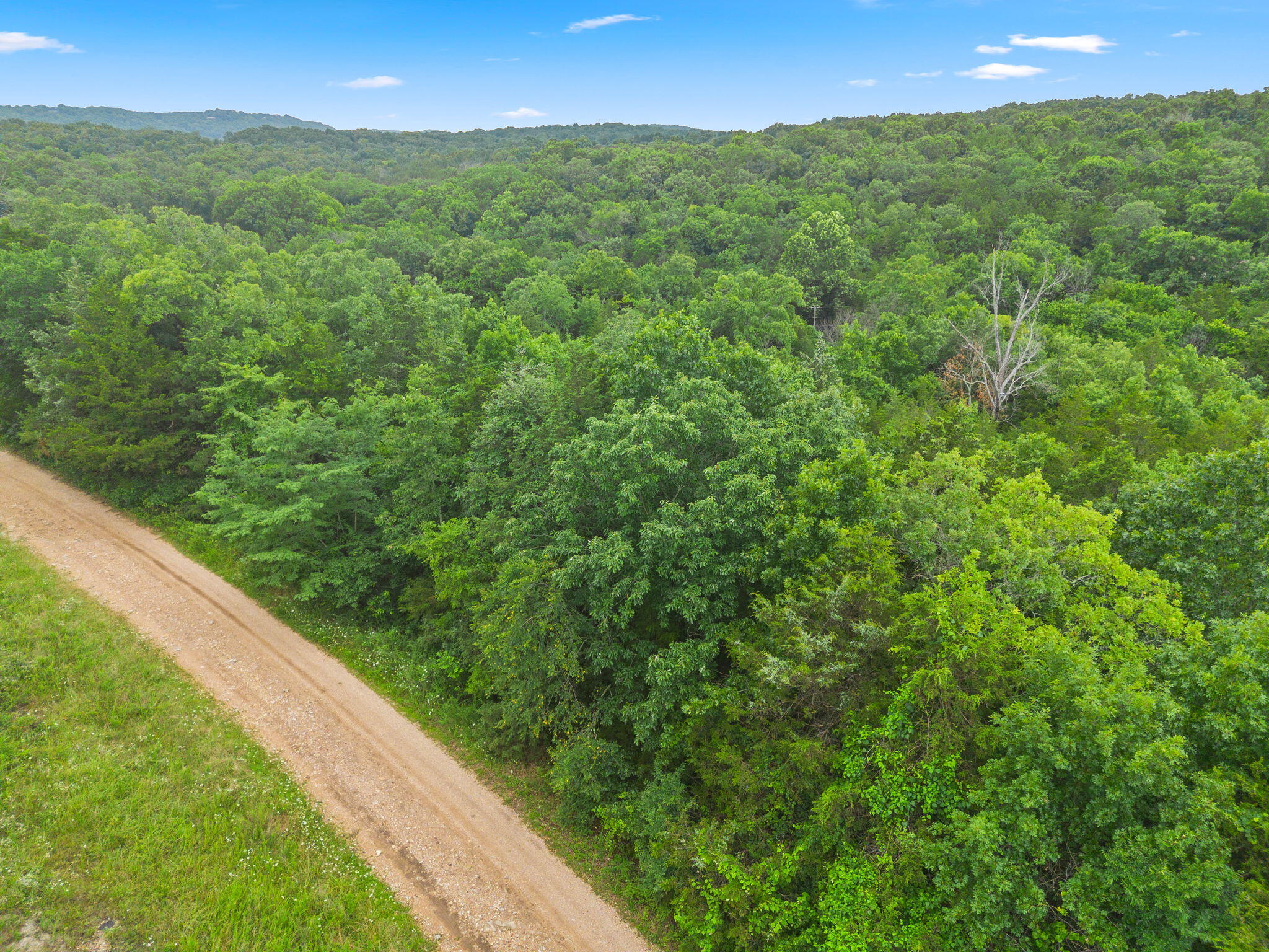 Photo 3 - Land for sale – Lot 23  Cedar Reef   Lampe, MO