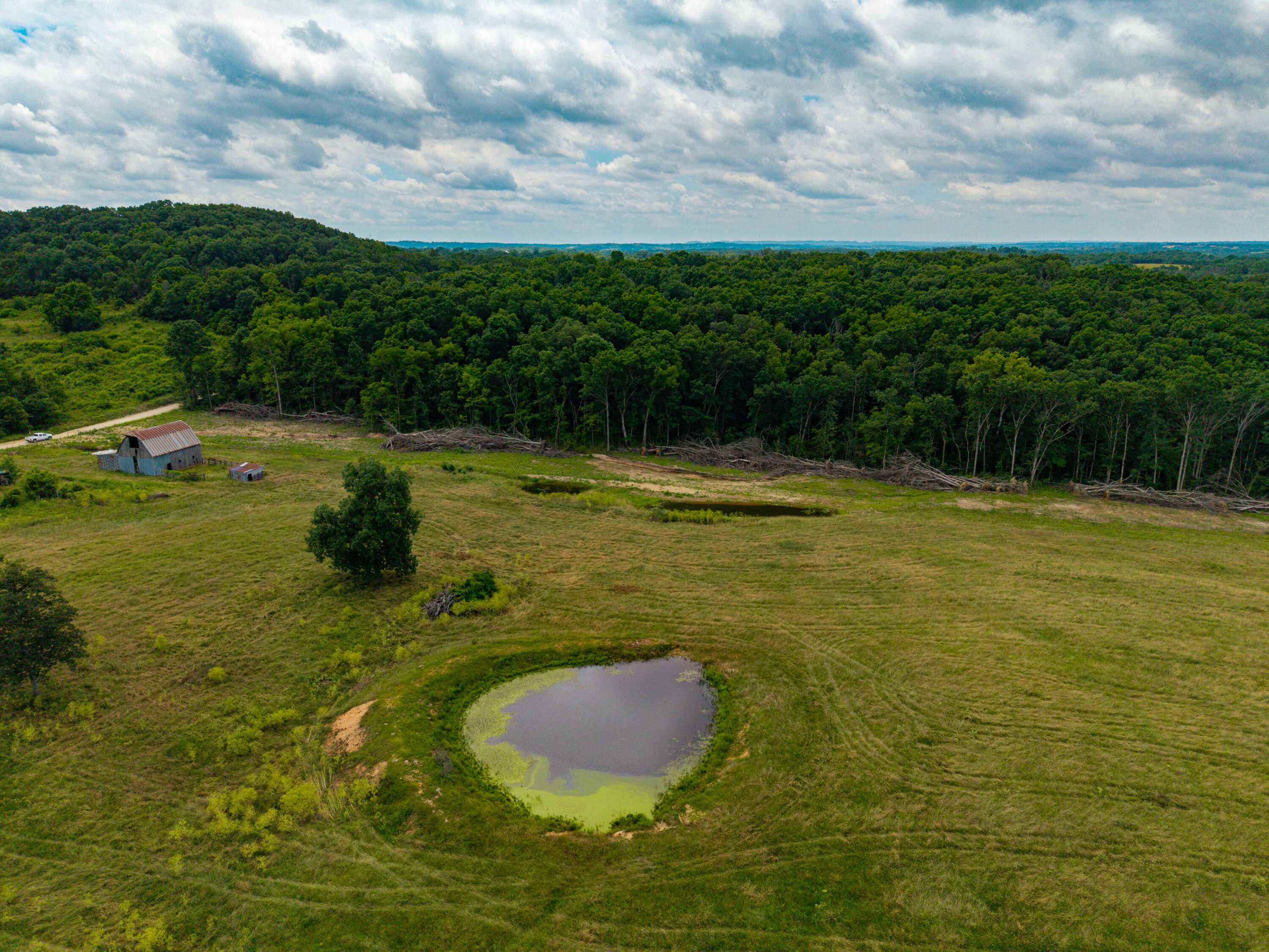 Photo 17 - Land for sale – 000  County Road Y-521   Ava, MO