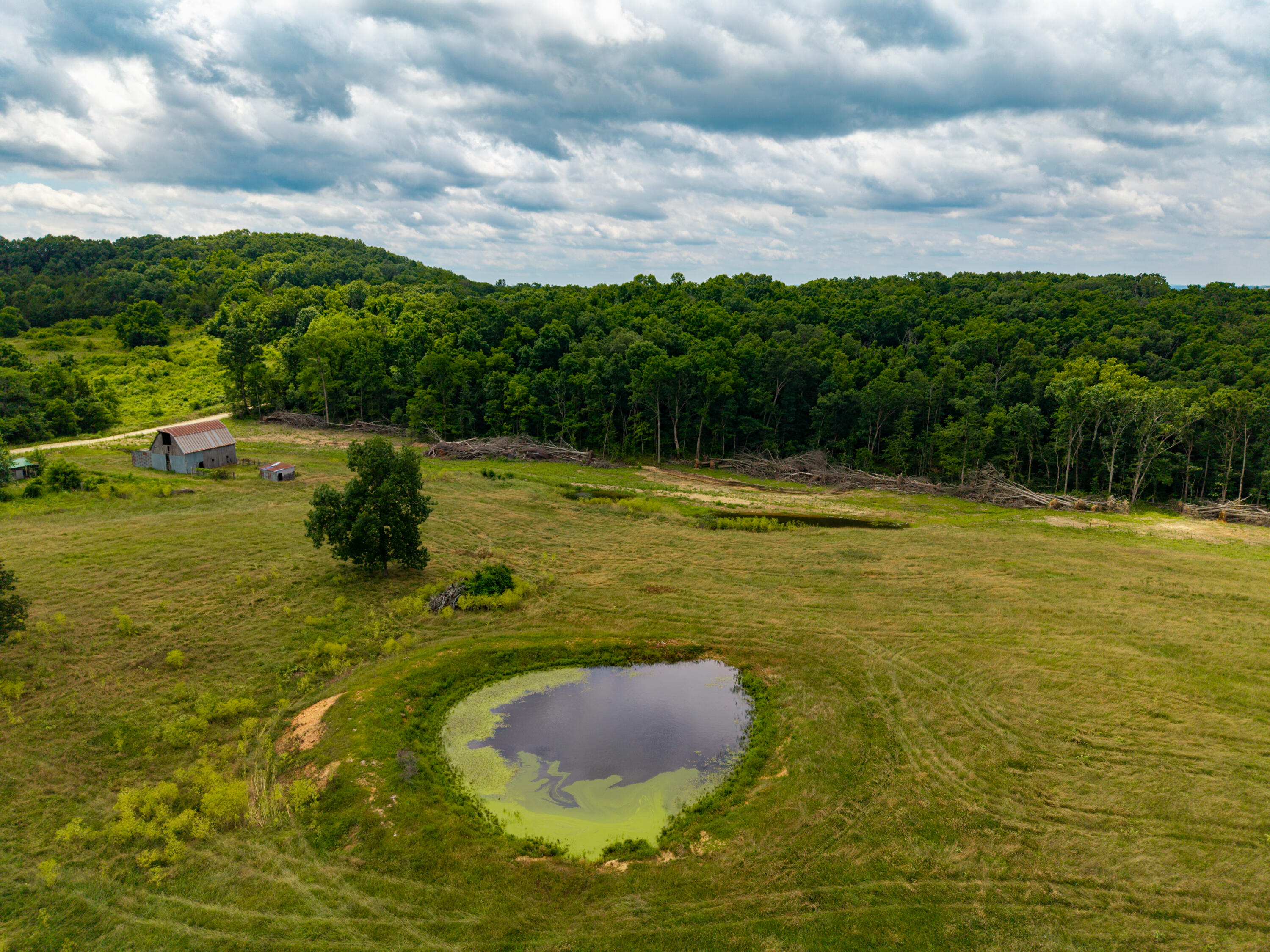 Photo 15 - Land for sale – 000  County Road Y-521   Ava, MO