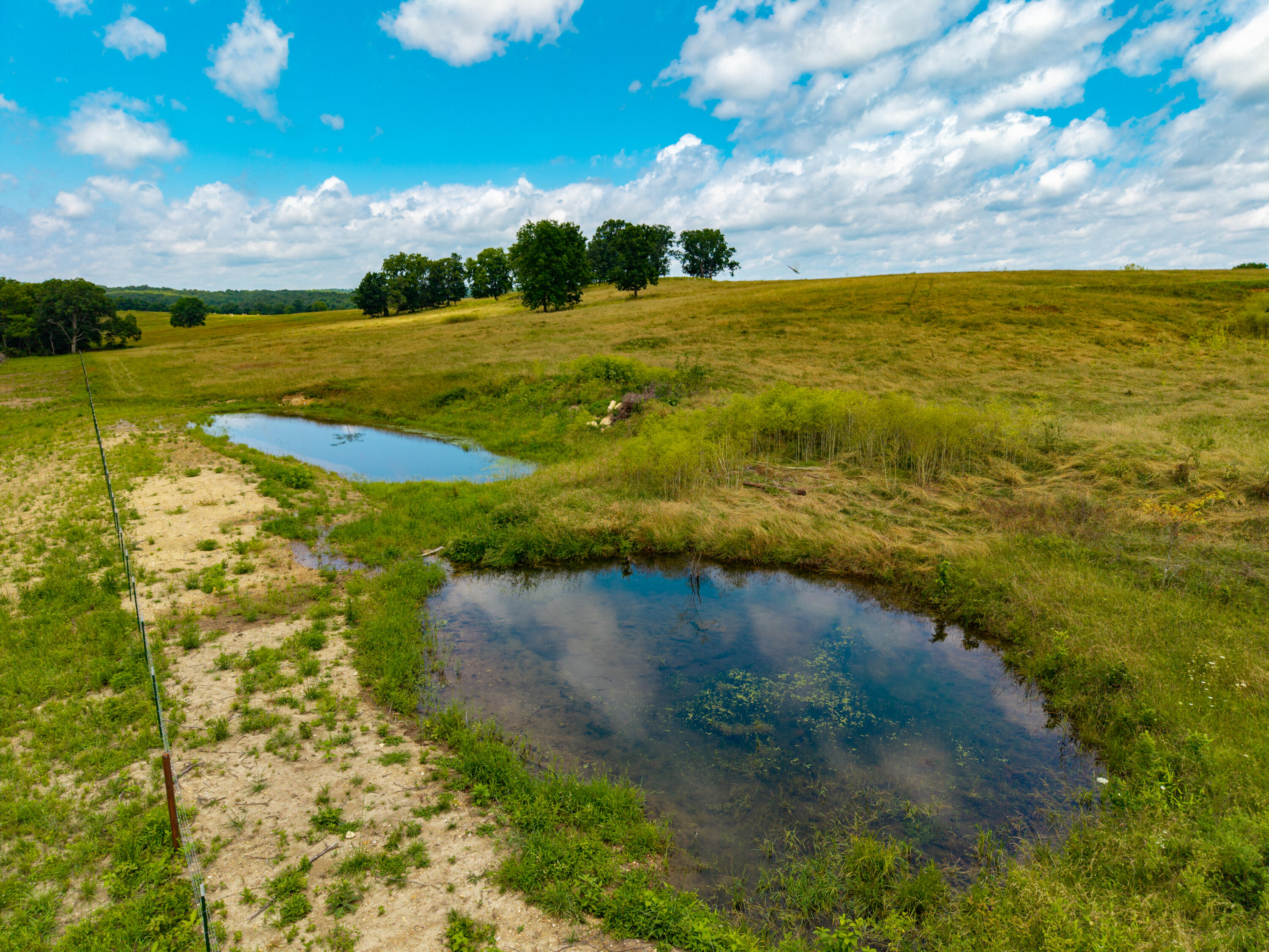 Photo 12 - Land for sale – 000  County Road Y-521   Ava, MO