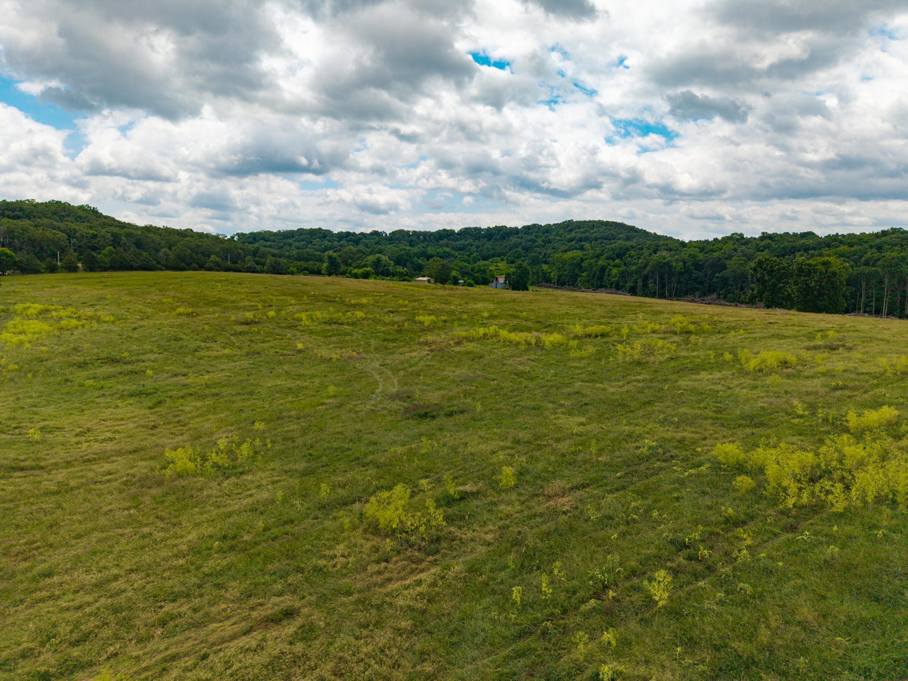 Photo 9 - Land for sale – 000  County Road Y-521   Ava, MO