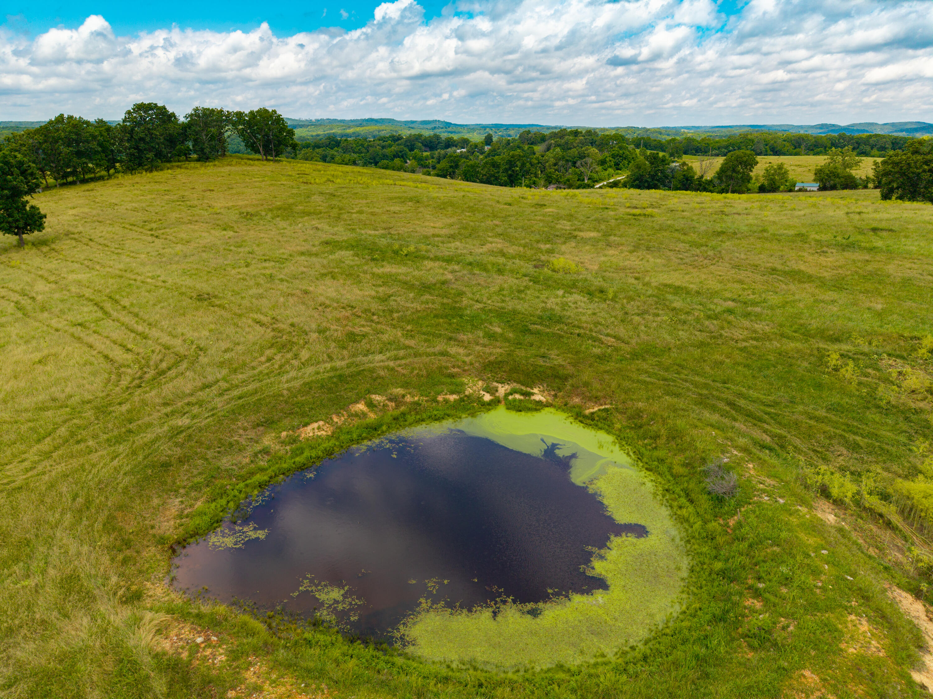 Photo 13 - Land for sale – 000  County Road Y-521   Ava, MO