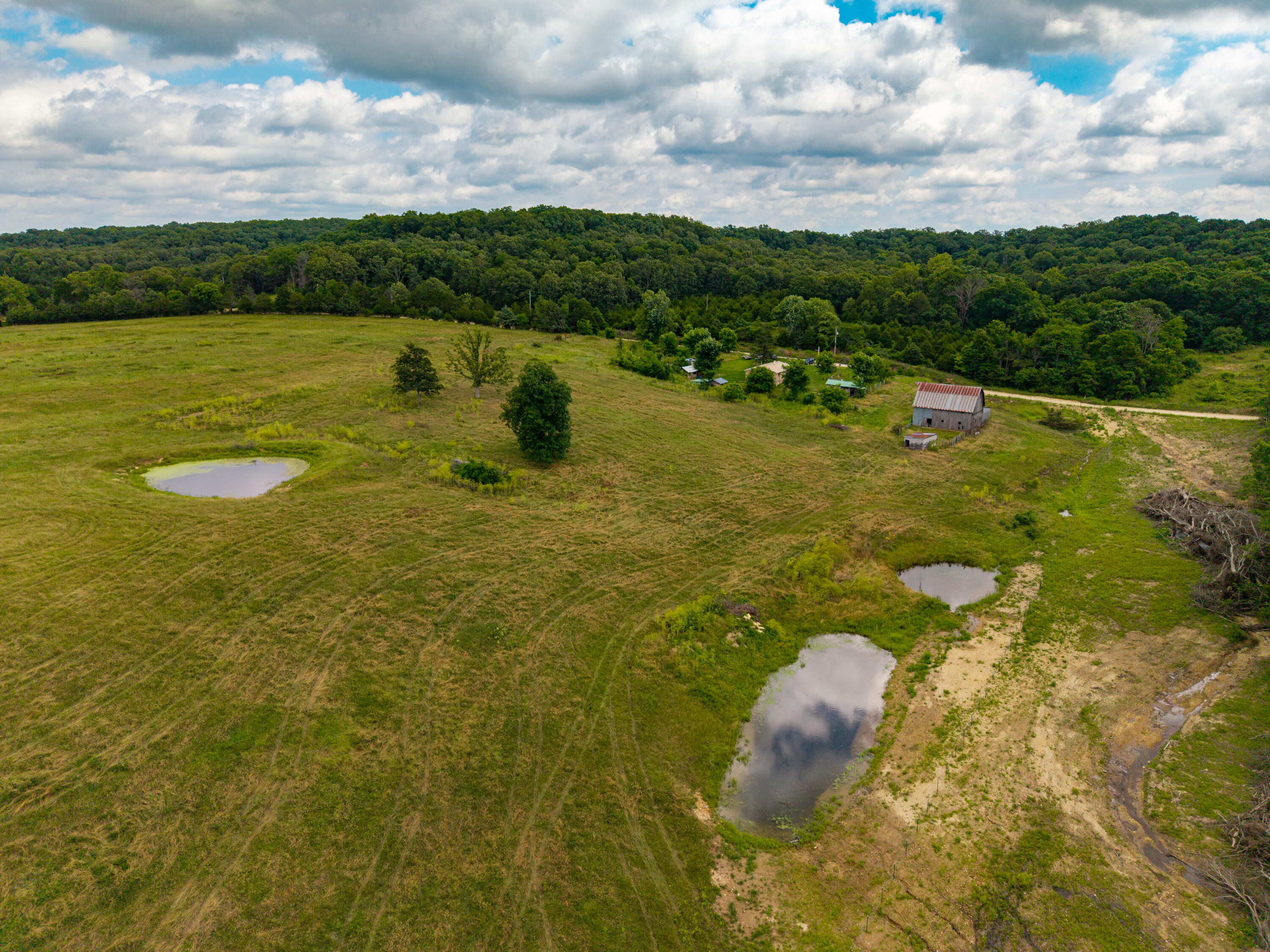 Photo 6 - Land for sale – 000  County Road Y-521   Ava, MO