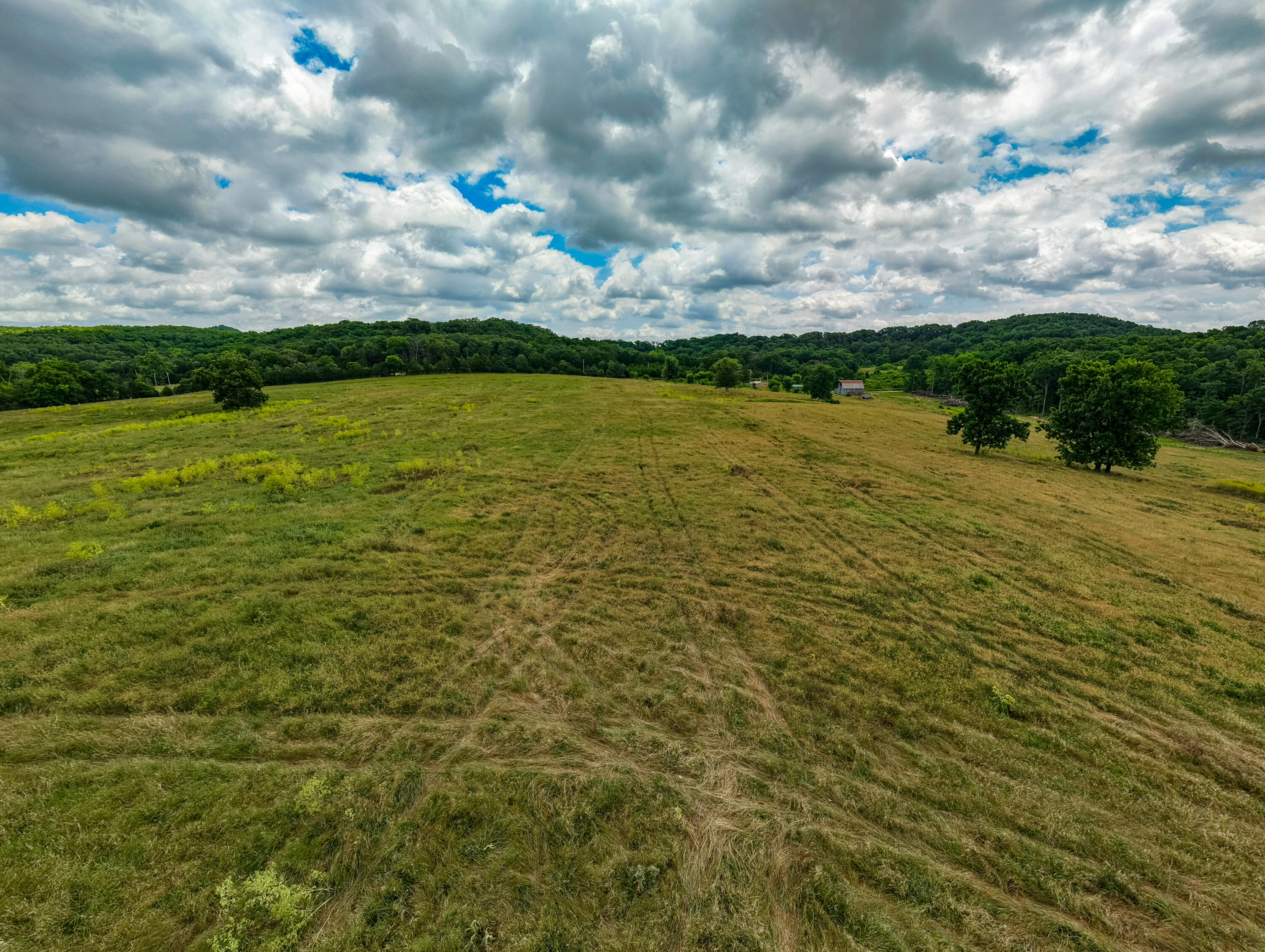 Photo 29 - Land for sale – 000  County Road Y-521   Ava, MO
