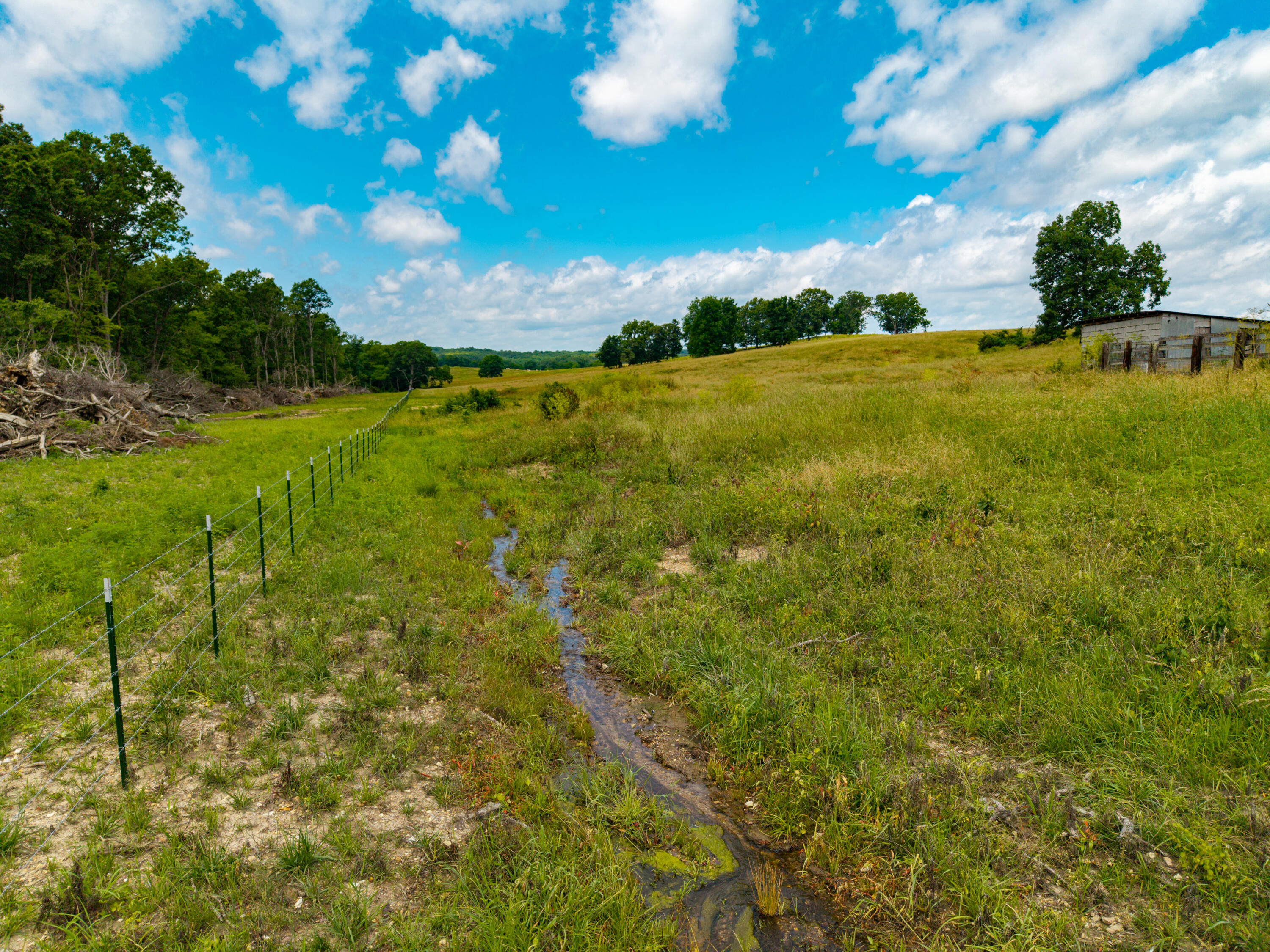 Photo 5 - Land for sale – 000  County Road Y-521   Ava, MO