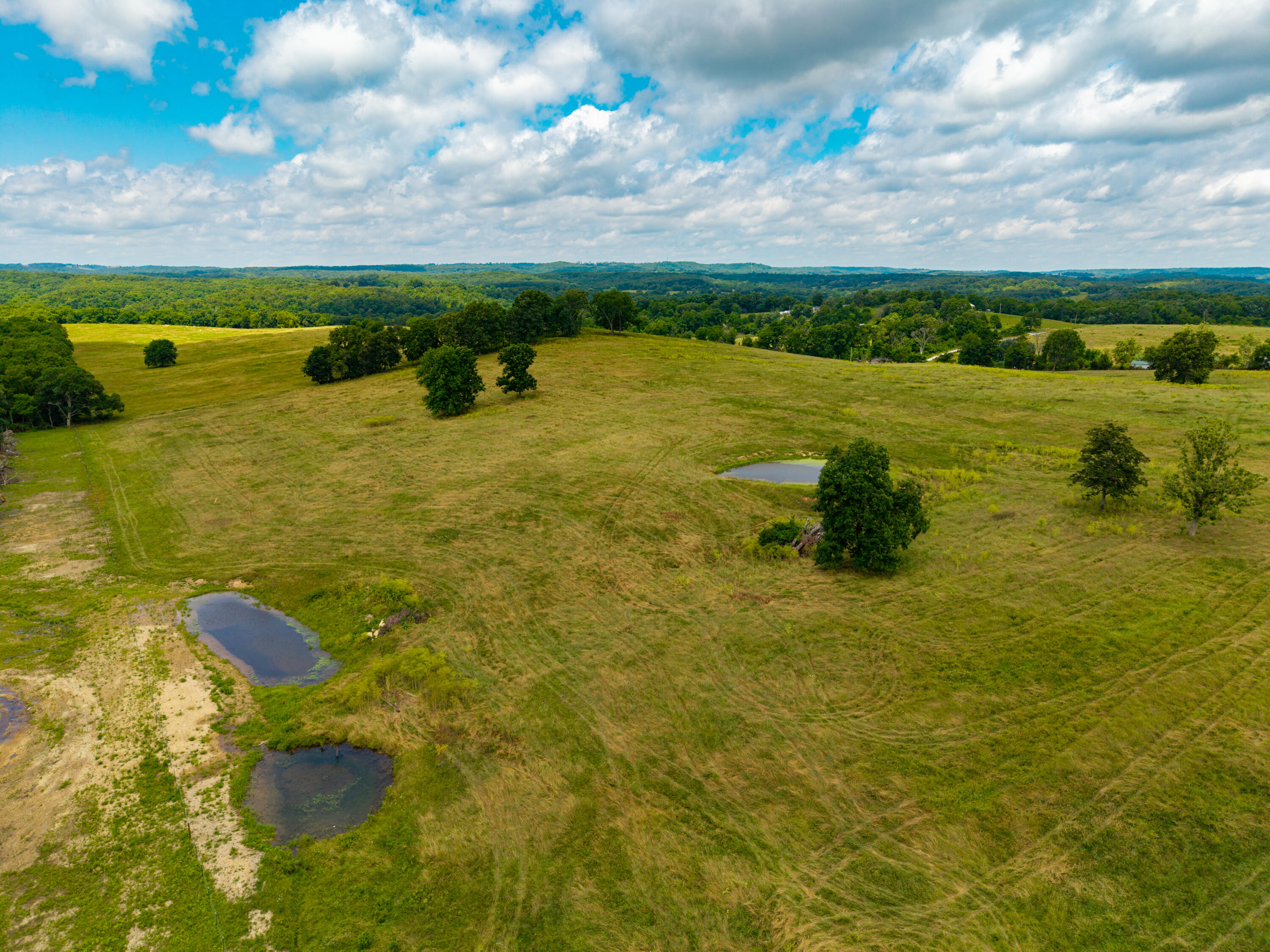Photo 10 - Land for sale – 000  County Road Y-521   Ava, MO