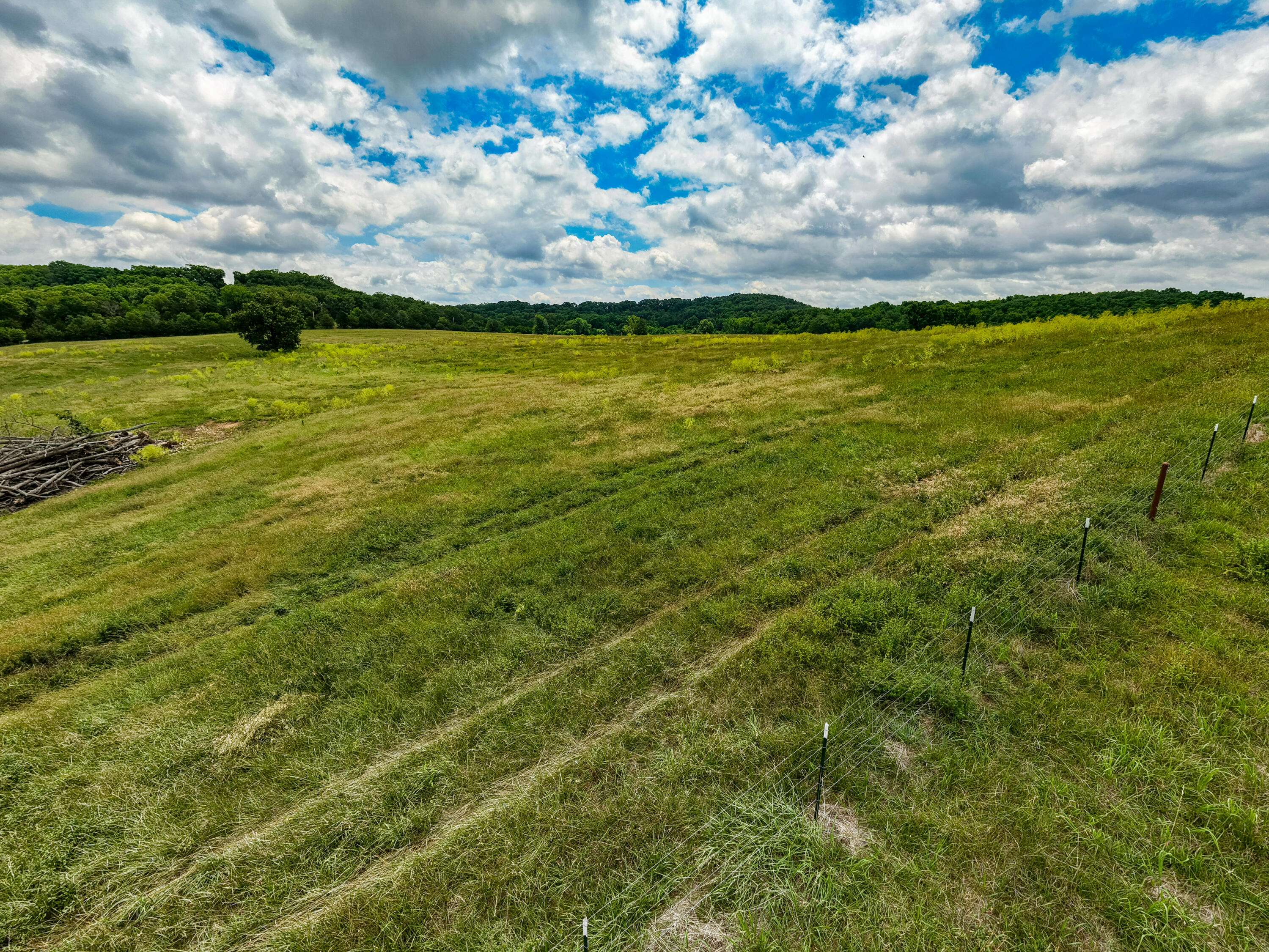 Photo 30 - Land for sale – 000  County Road Y-521   Ava, MO