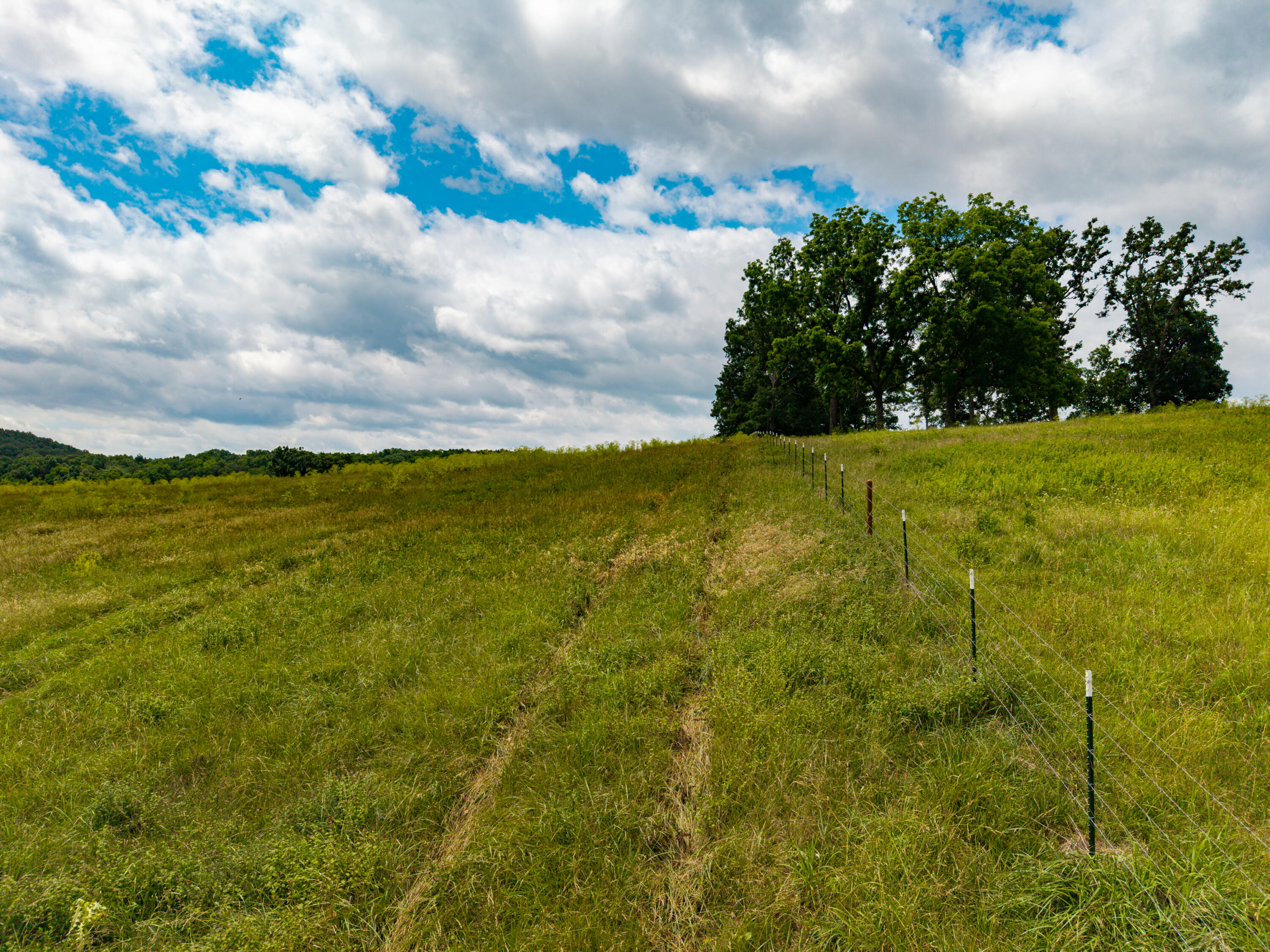 Photo 7 - Land for sale – 000  County Road Y-521   Ava, MO