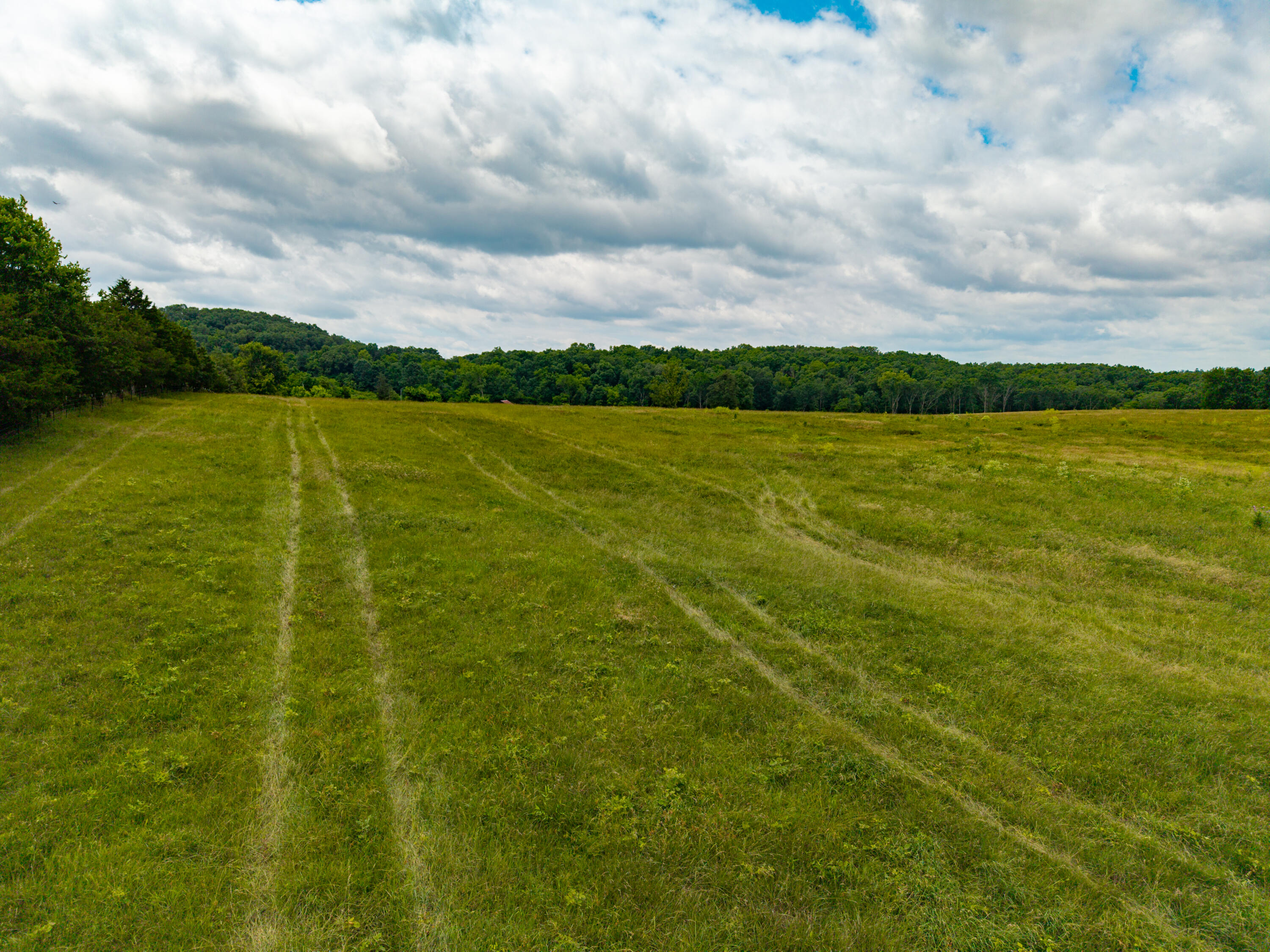 Photo 25 - Land for sale – 000  County Road Y-521   Ava, MO