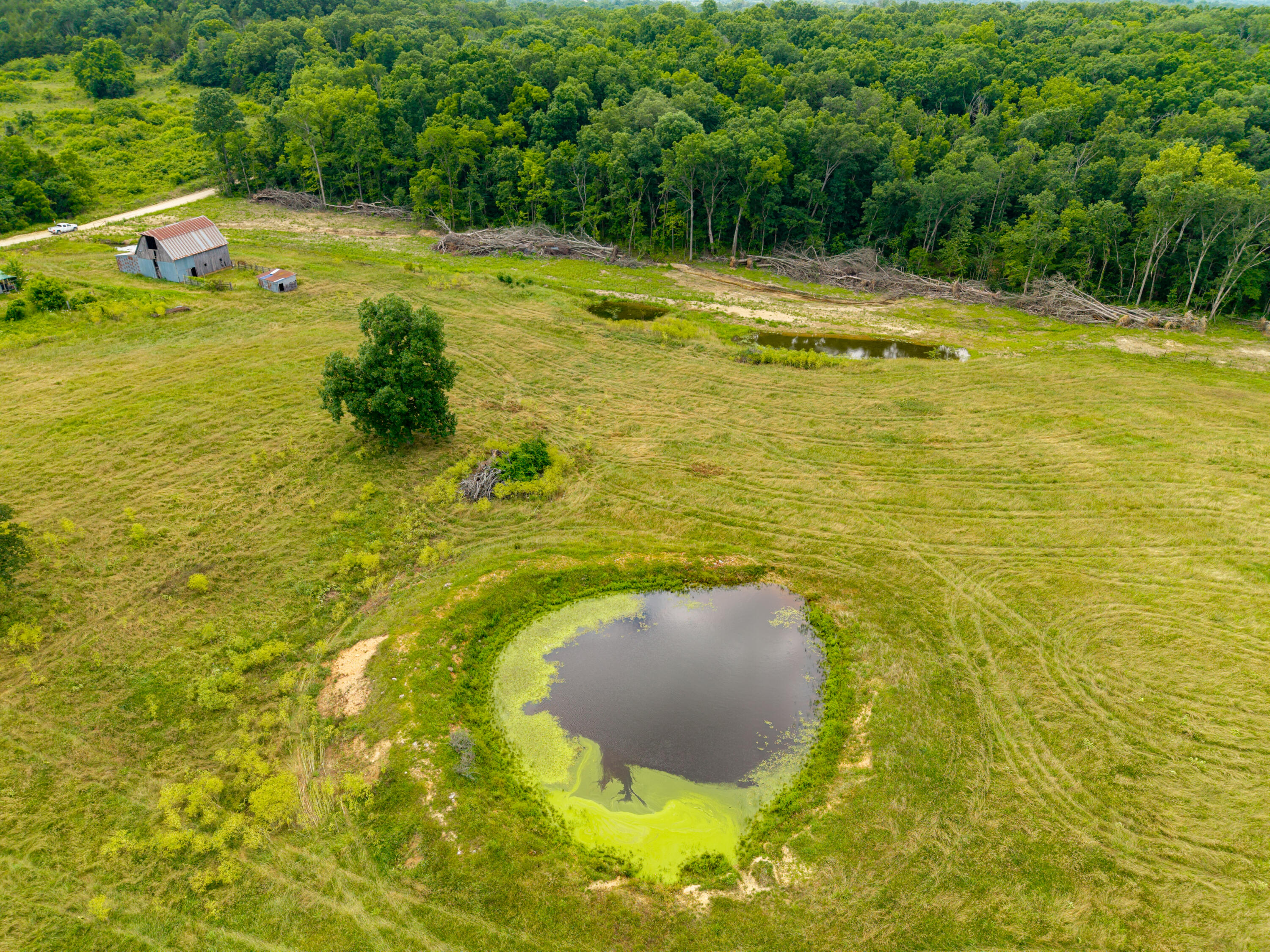 Photo 27 - Land for sale – 000  County Road Y-521   Ava, MO