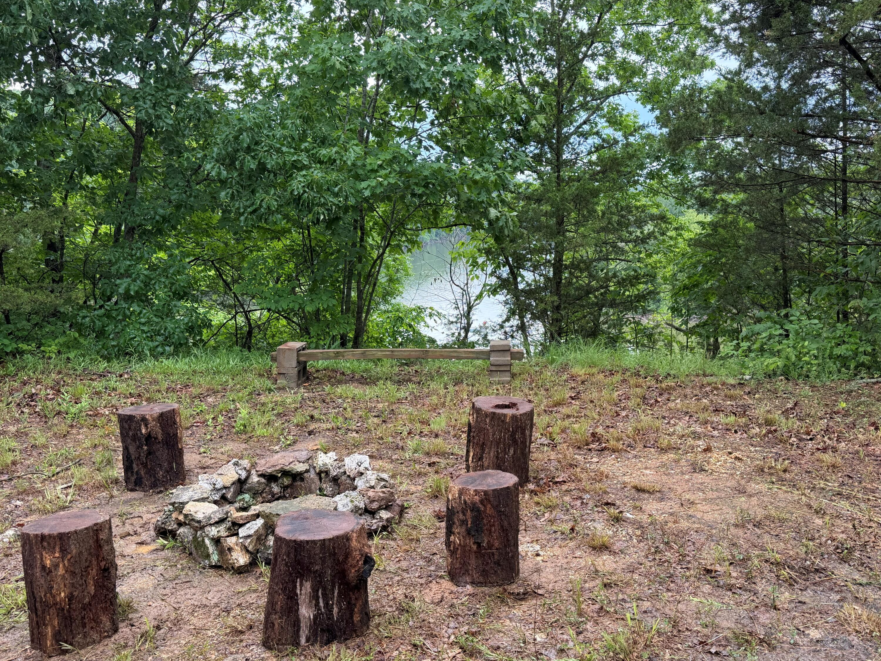 Photo 9 - Land for sale – Tract 1  Farm Road 1250   Golden, MO