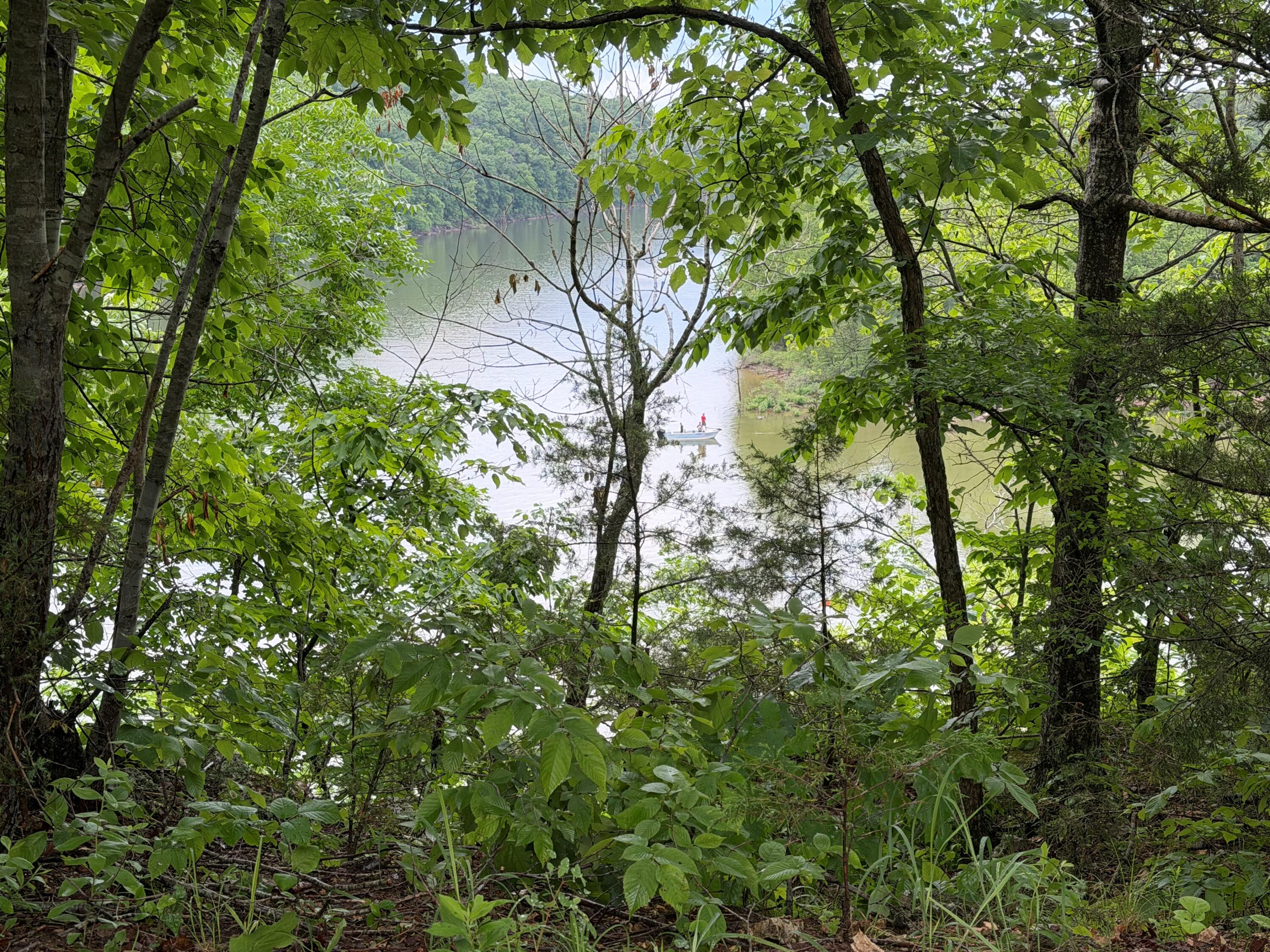 Photo 7 - Land for sale – Tract 1  Farm Road 1250   Golden, MO
