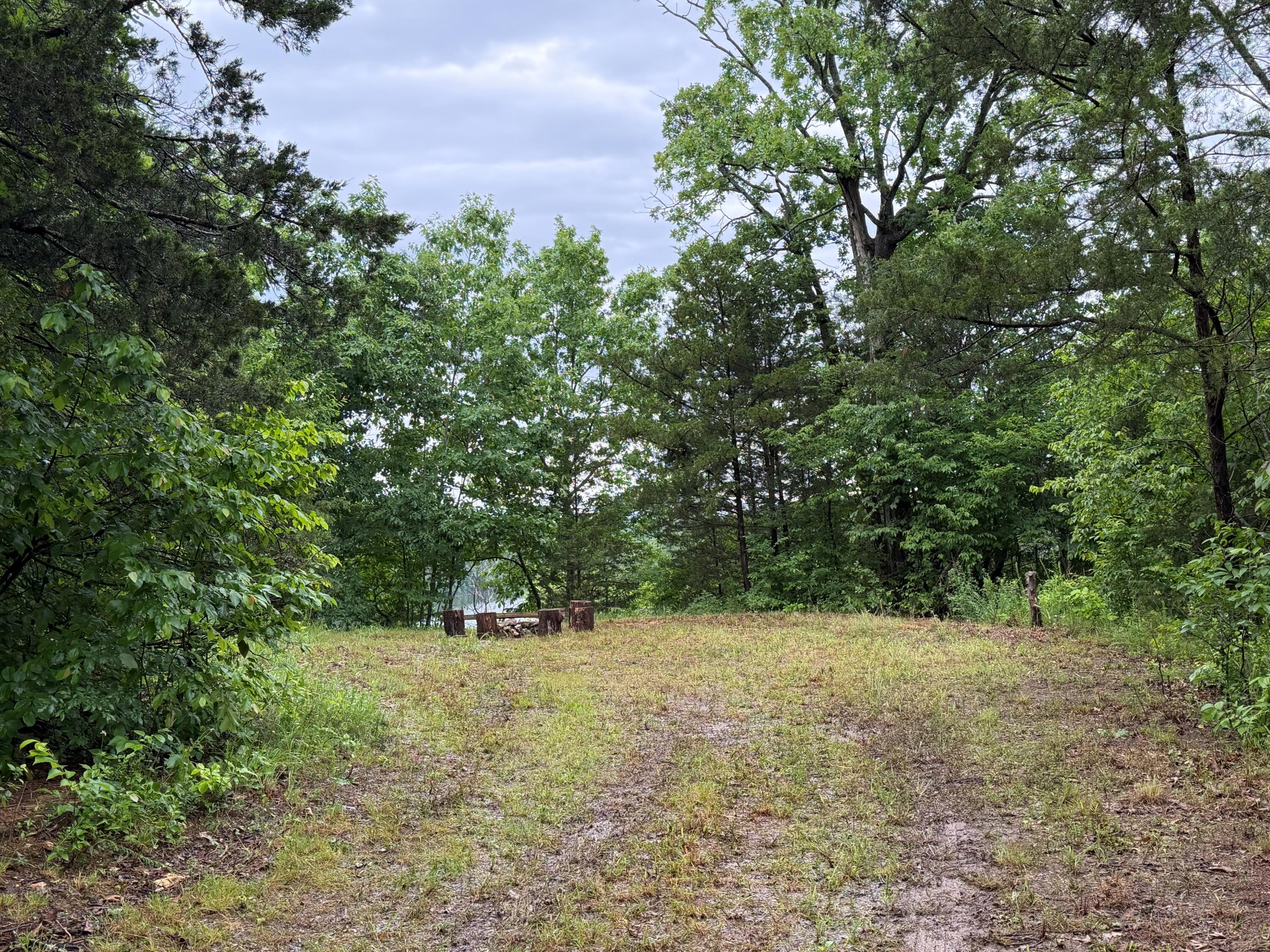 Photo 4 - Land for sale – Tract 1  Farm Road 1250   Golden, MO