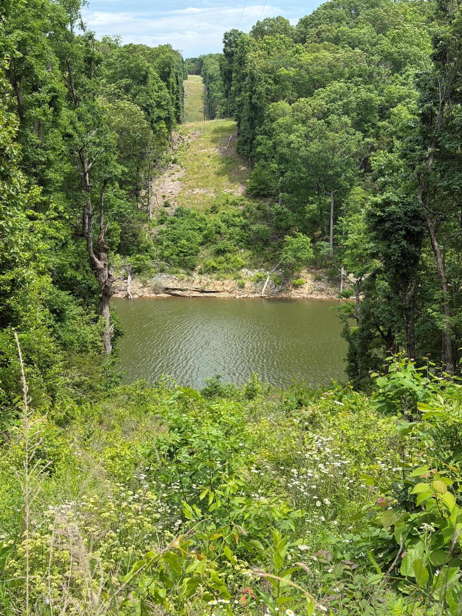 Photo 5 - Land for sale – Tract 1  Farm Road 1250   Golden, MO