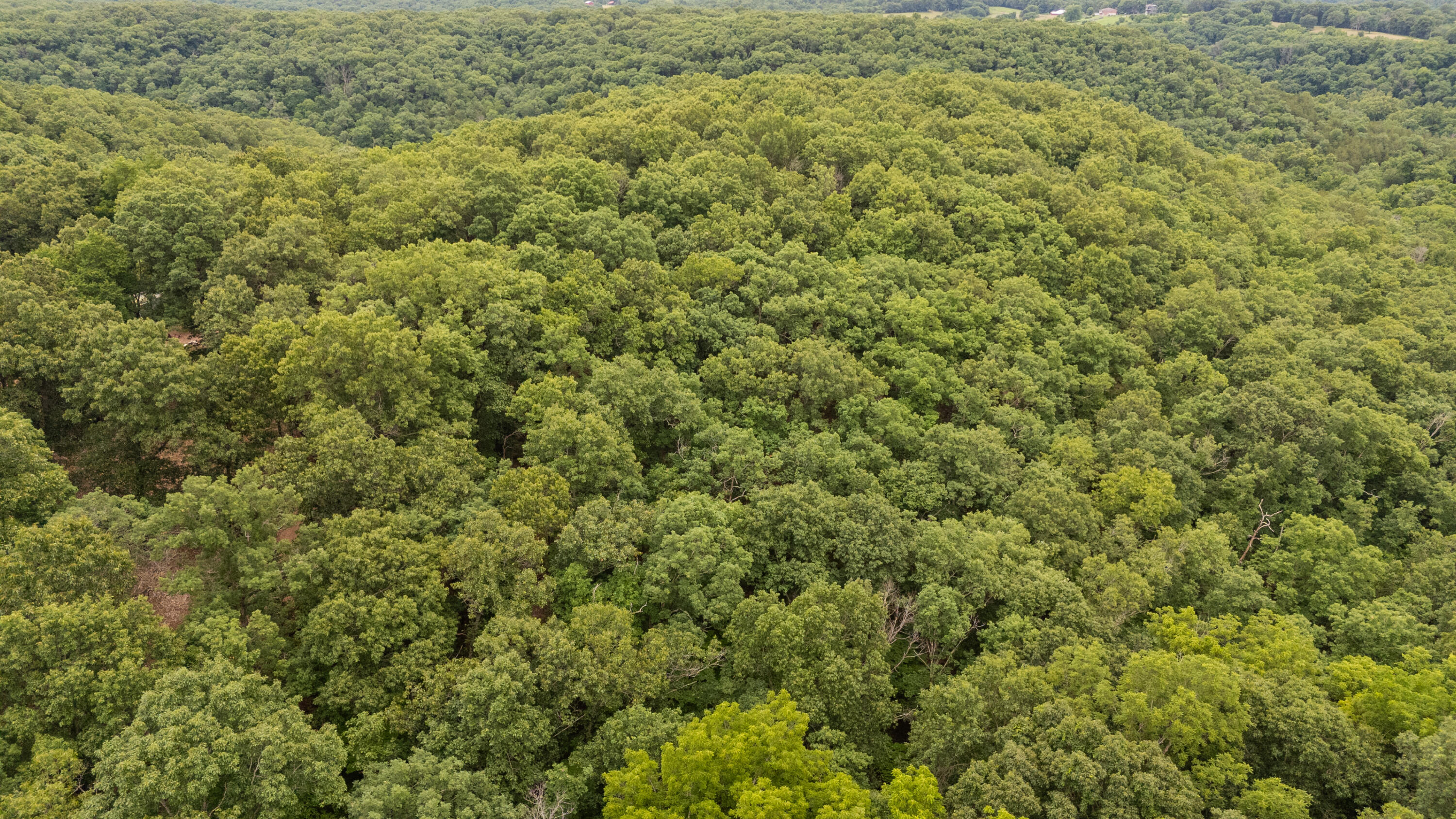 Photo 23 - Land for sale – 000  Misty Springs Rd Lot 16   Galena, MO