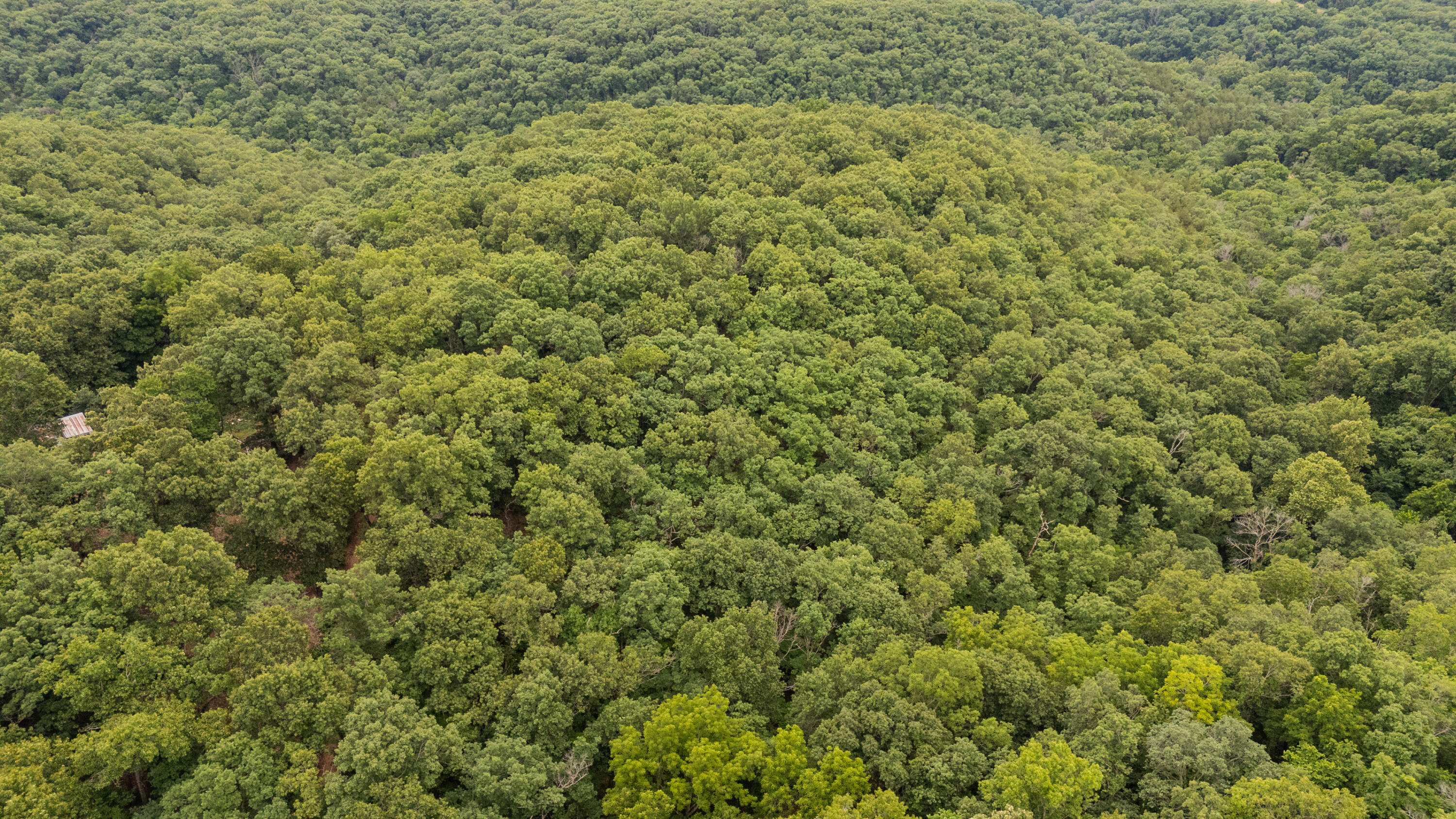 Photo 22 - Land for sale – 000  Misty Springs Rd Lot 16   Galena, MO