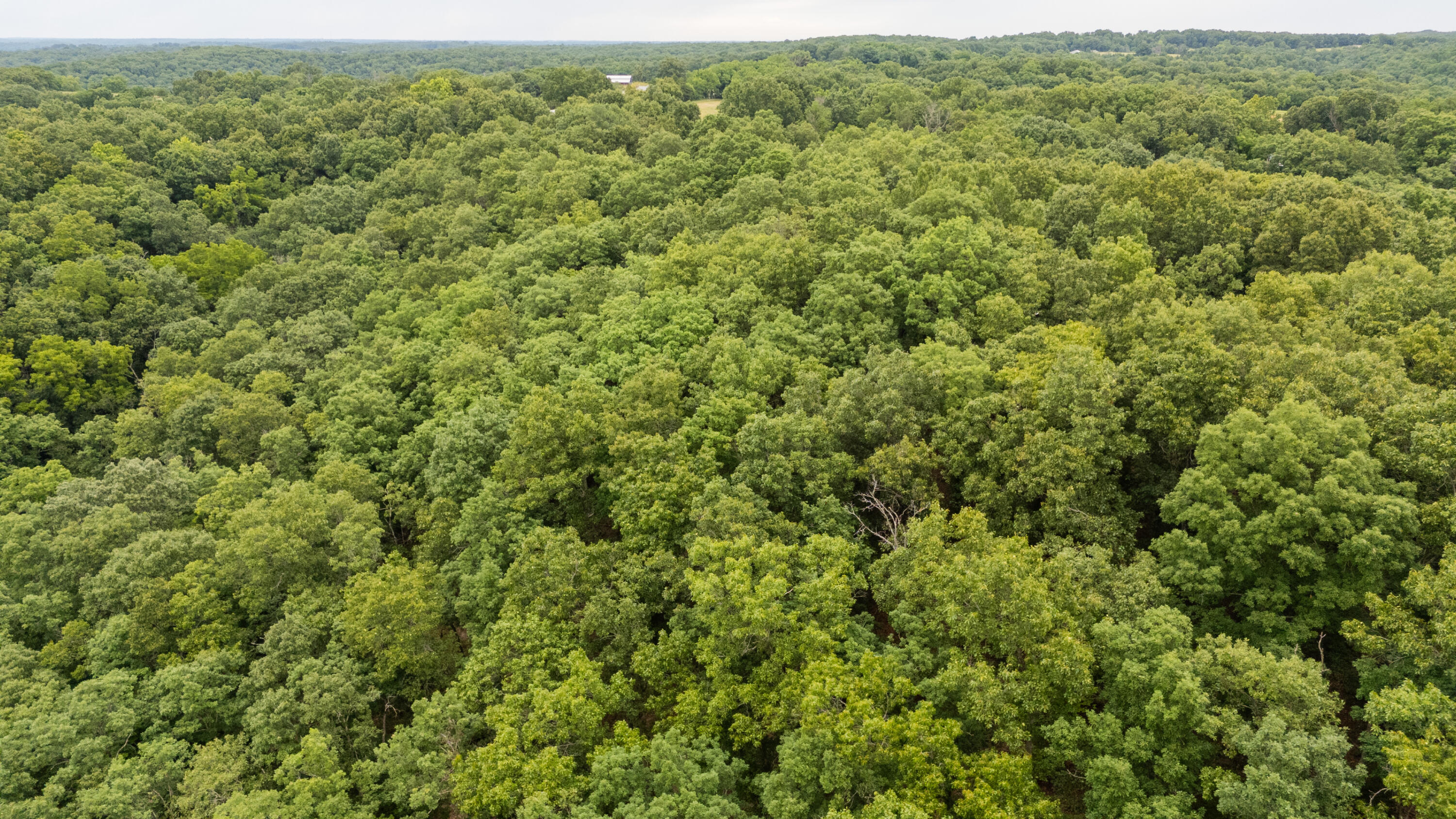 Photo 25 - Land for sale – 000  Misty Springs Rd Lot 16   Galena, MO