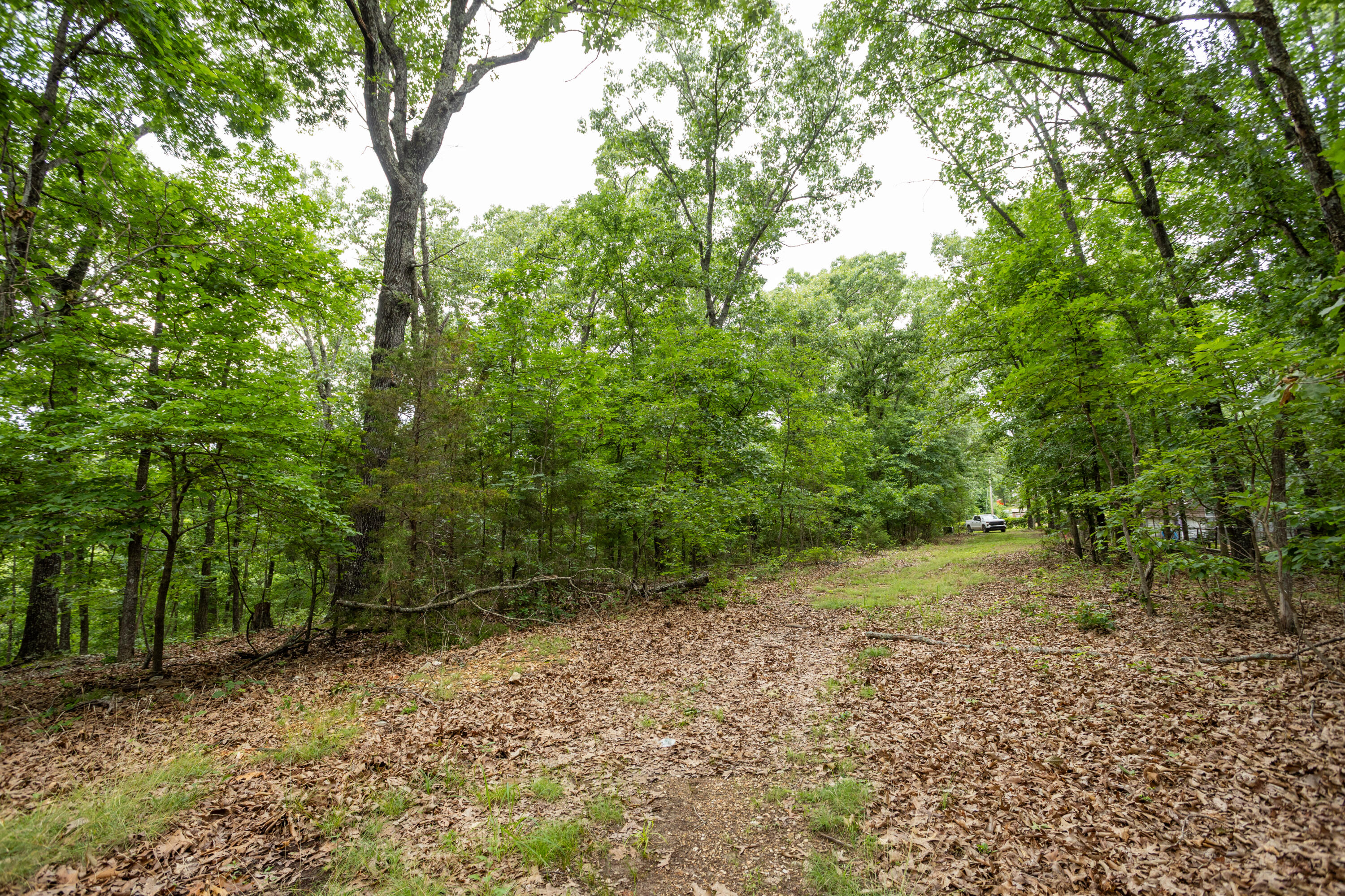 Photo 6 - Land for sale – 000  Misty Springs Rd Lot 16   Galena, MO