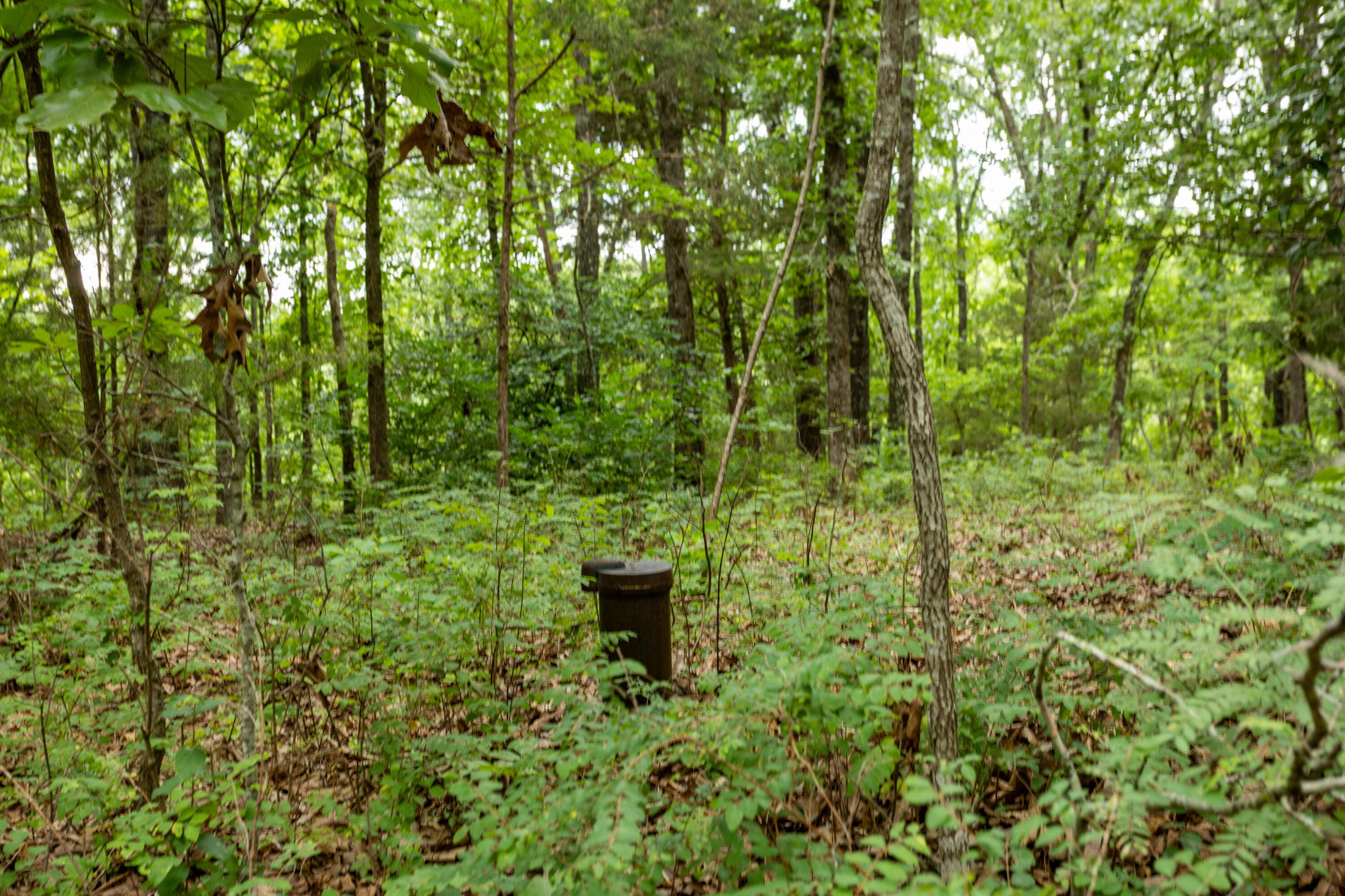 Photo 36 - Land for sale – 000  Misty Springs Rd Lot 16   Galena, MO