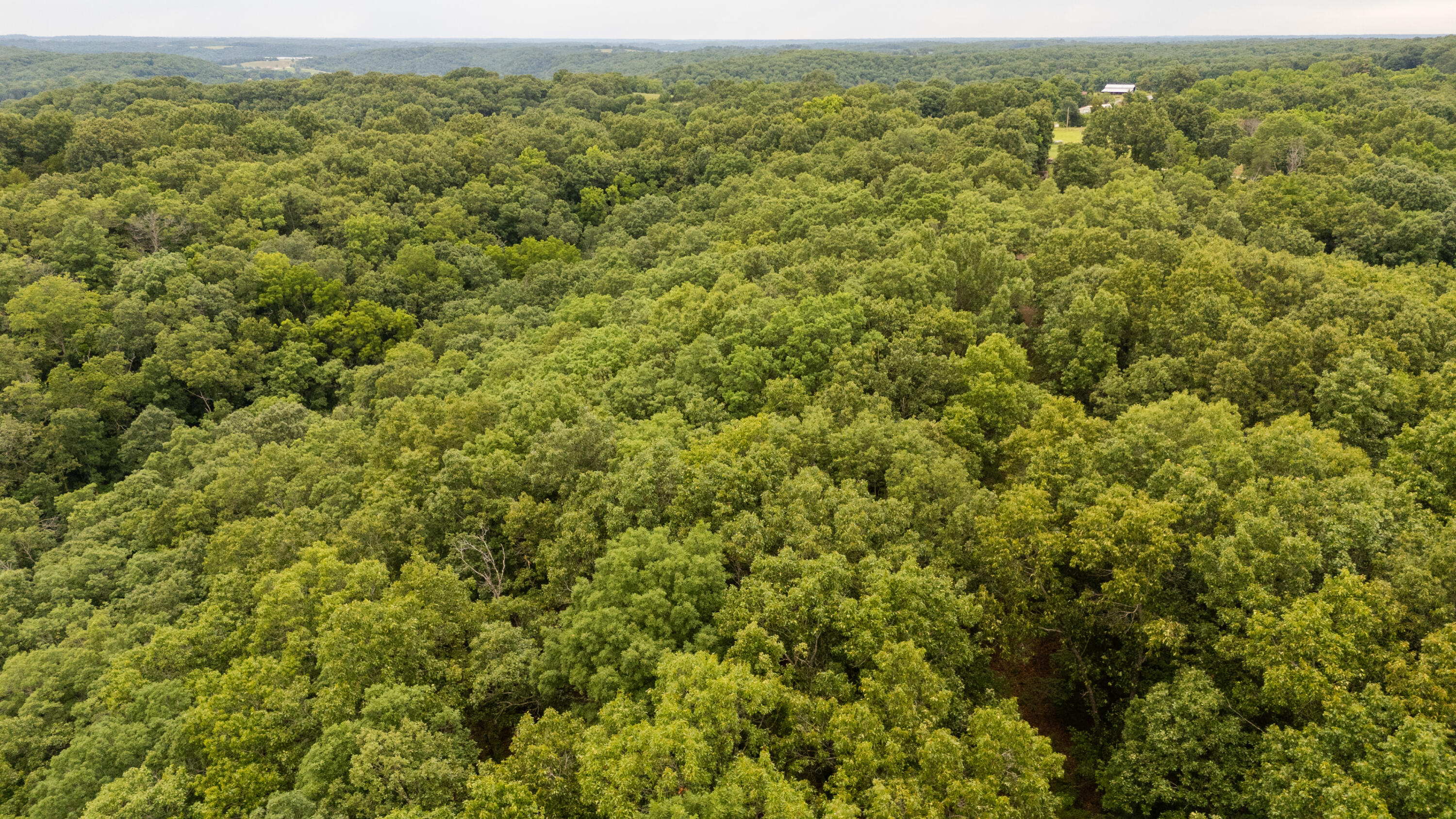 Photo 26 - Land for sale – 000  Misty Springs Rd Lot 16   Galena, MO
