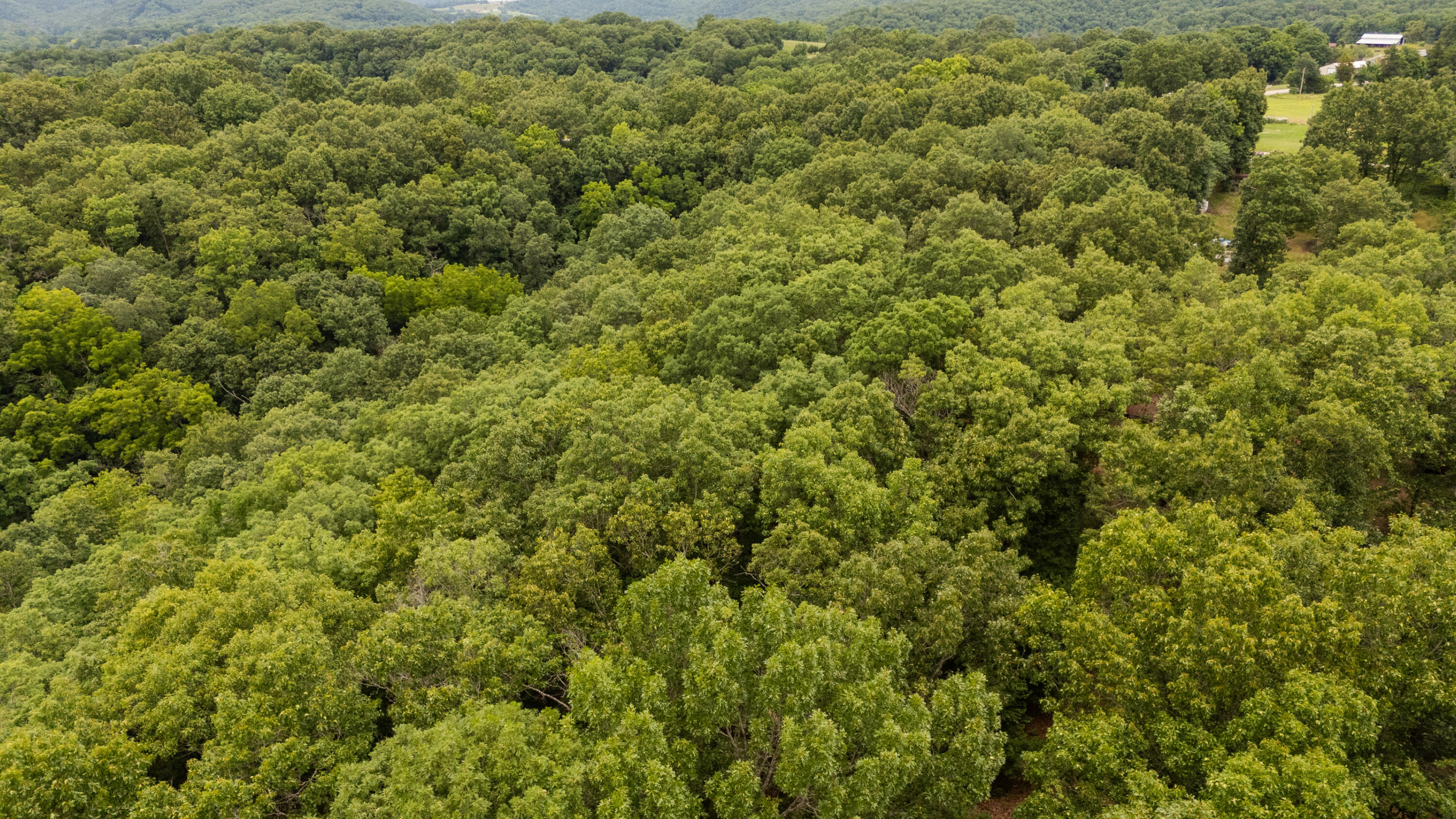 Photo 27 - Land for sale – 000  Misty Springs Rd Lot 16   Galena, MO