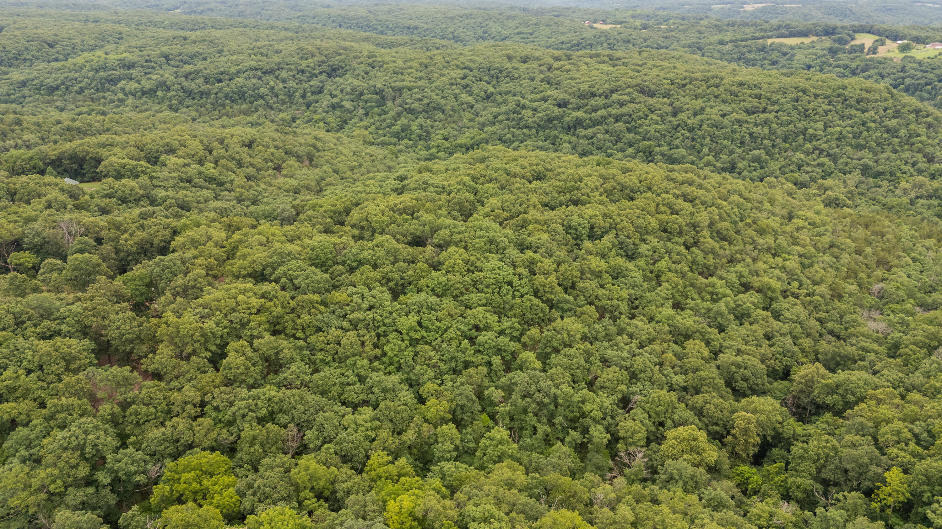 Photo 21 - Land for sale – 000  Misty Springs Rd Lot 16   Galena, MO