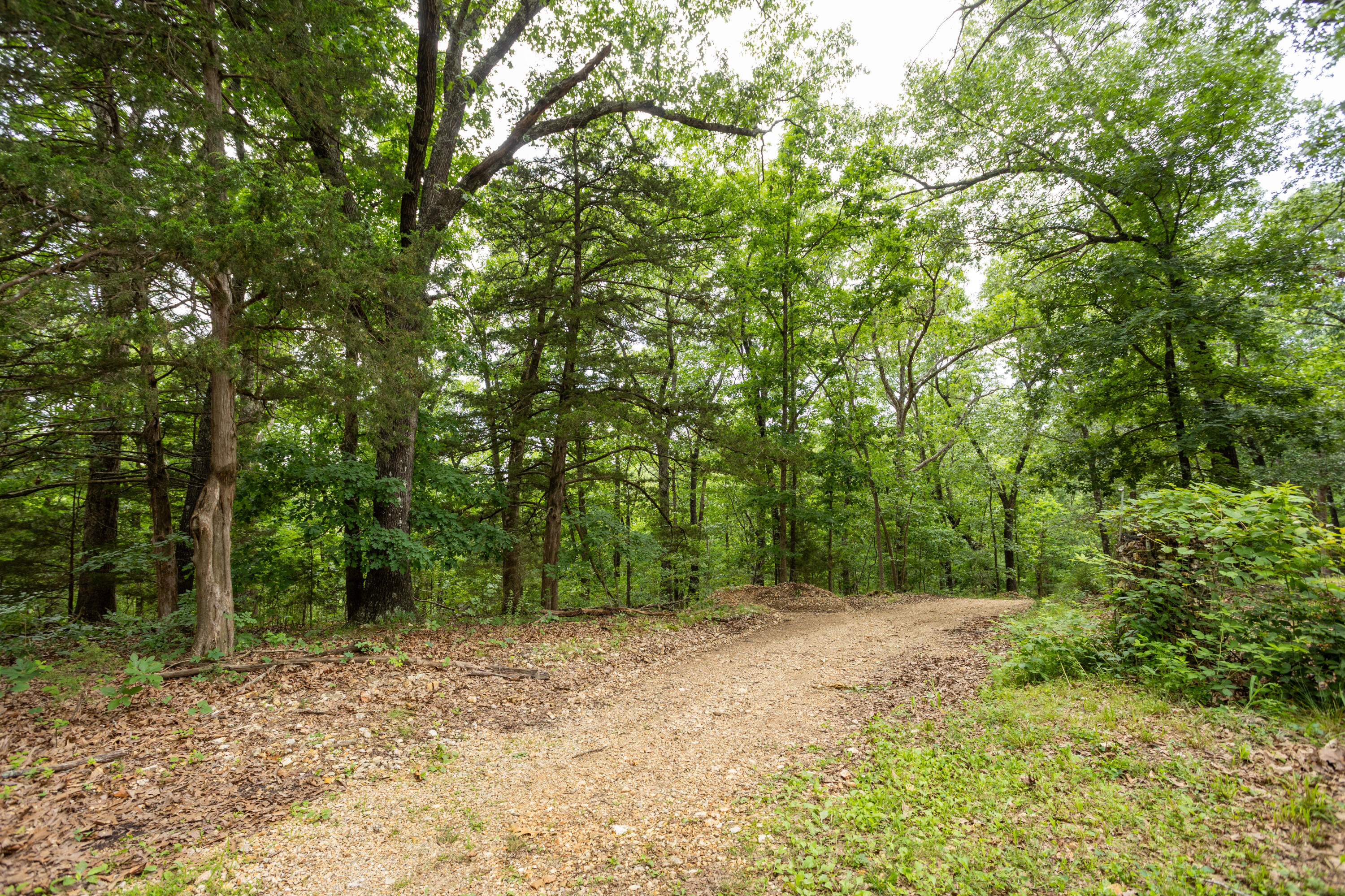 Photo 39 - Land for sale – 000  Misty Springs Rd Lot 16   Galena, MO