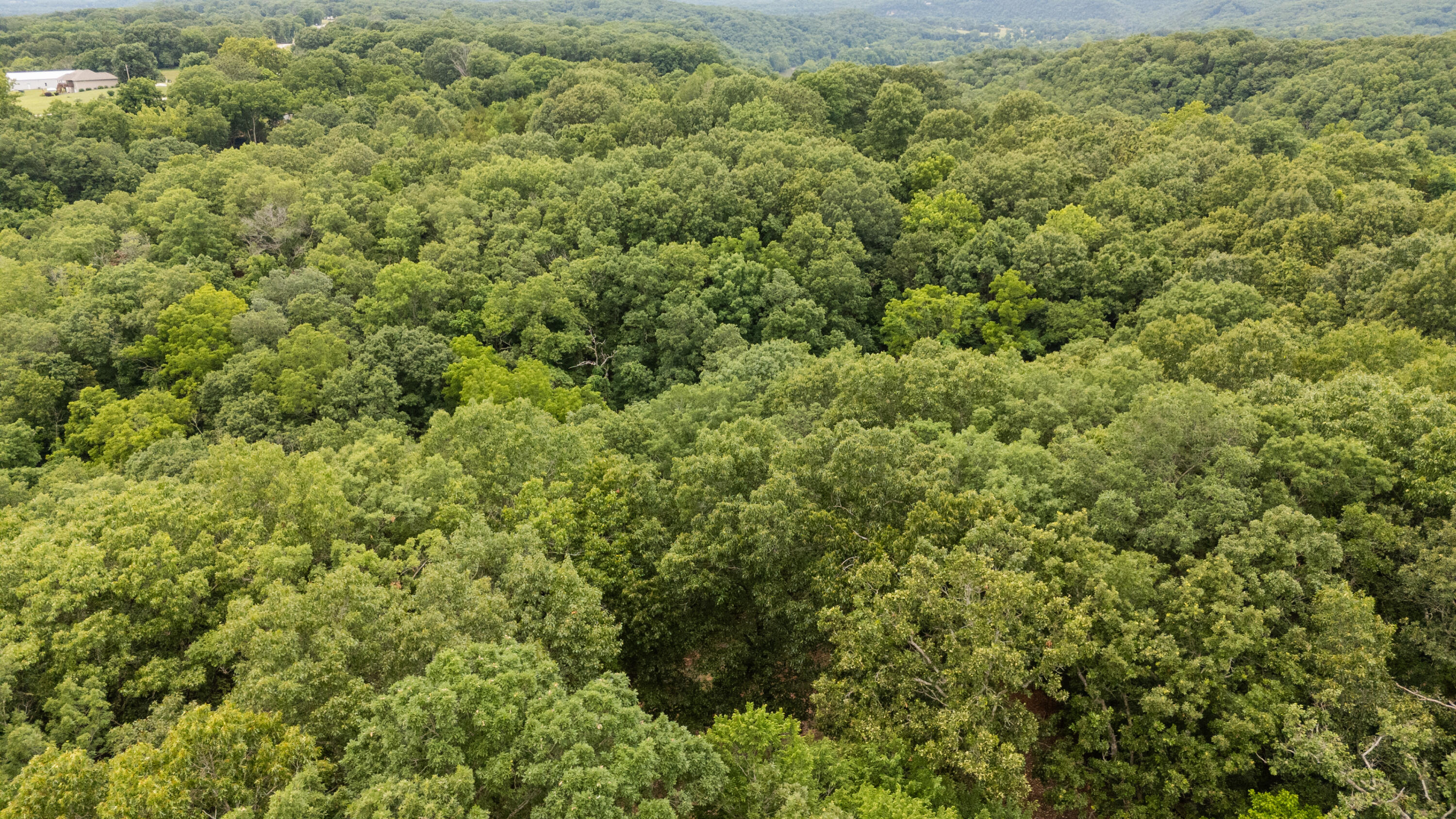Photo 28 - Land for sale – 000  Misty Springs Rd Lot 16   Galena, MO