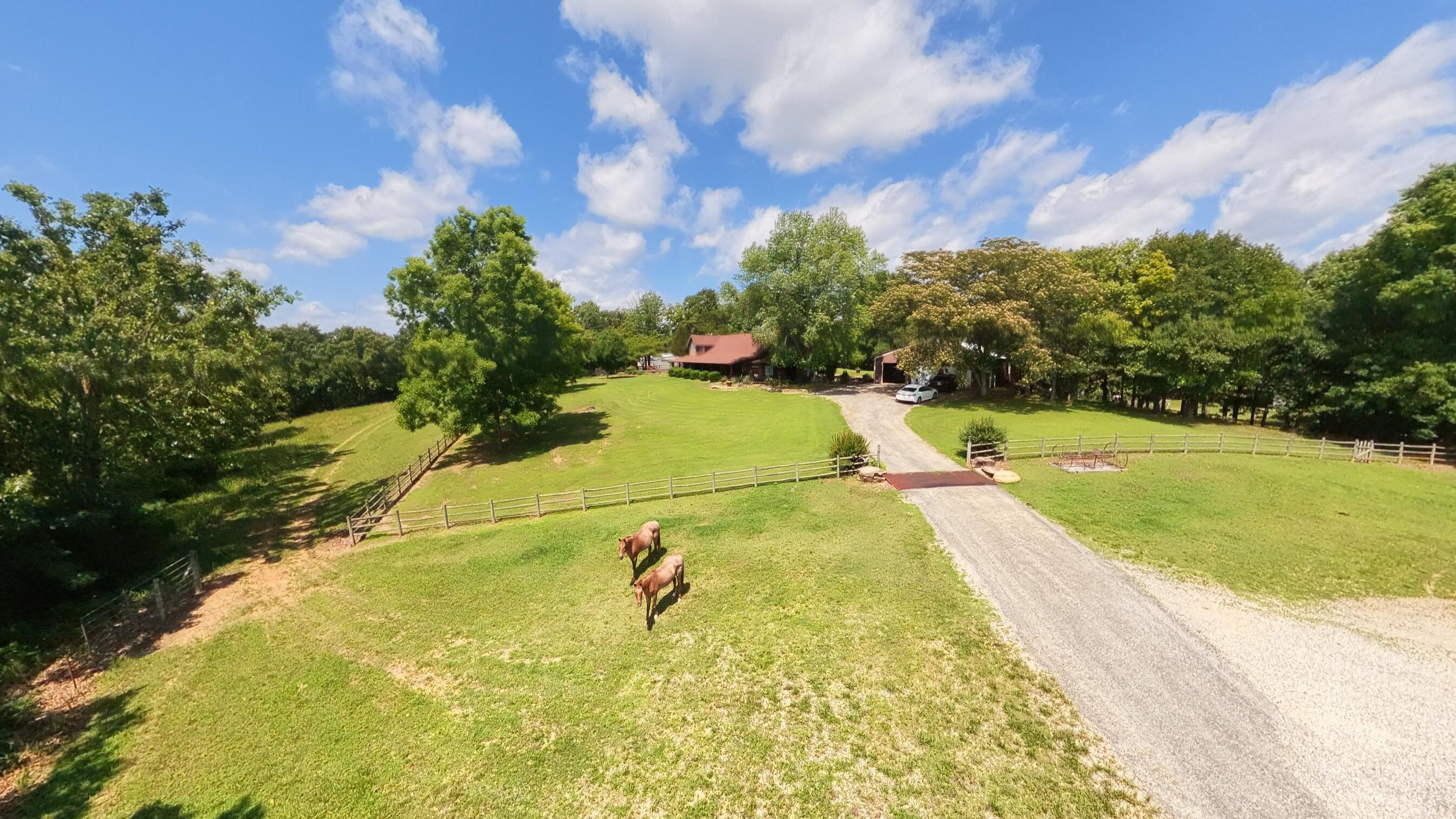 Photo 93 - Farm for sale – 506  Hansen Lane  Gainesville, MO