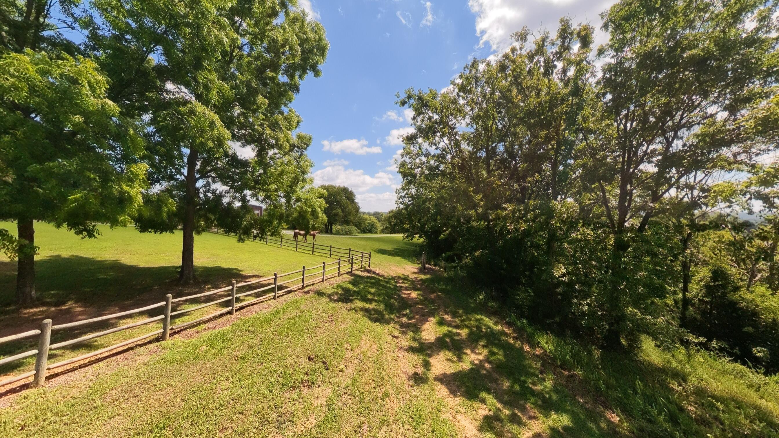 Photo 97 - Farm for sale – 506  Hansen Lane  Gainesville, MO