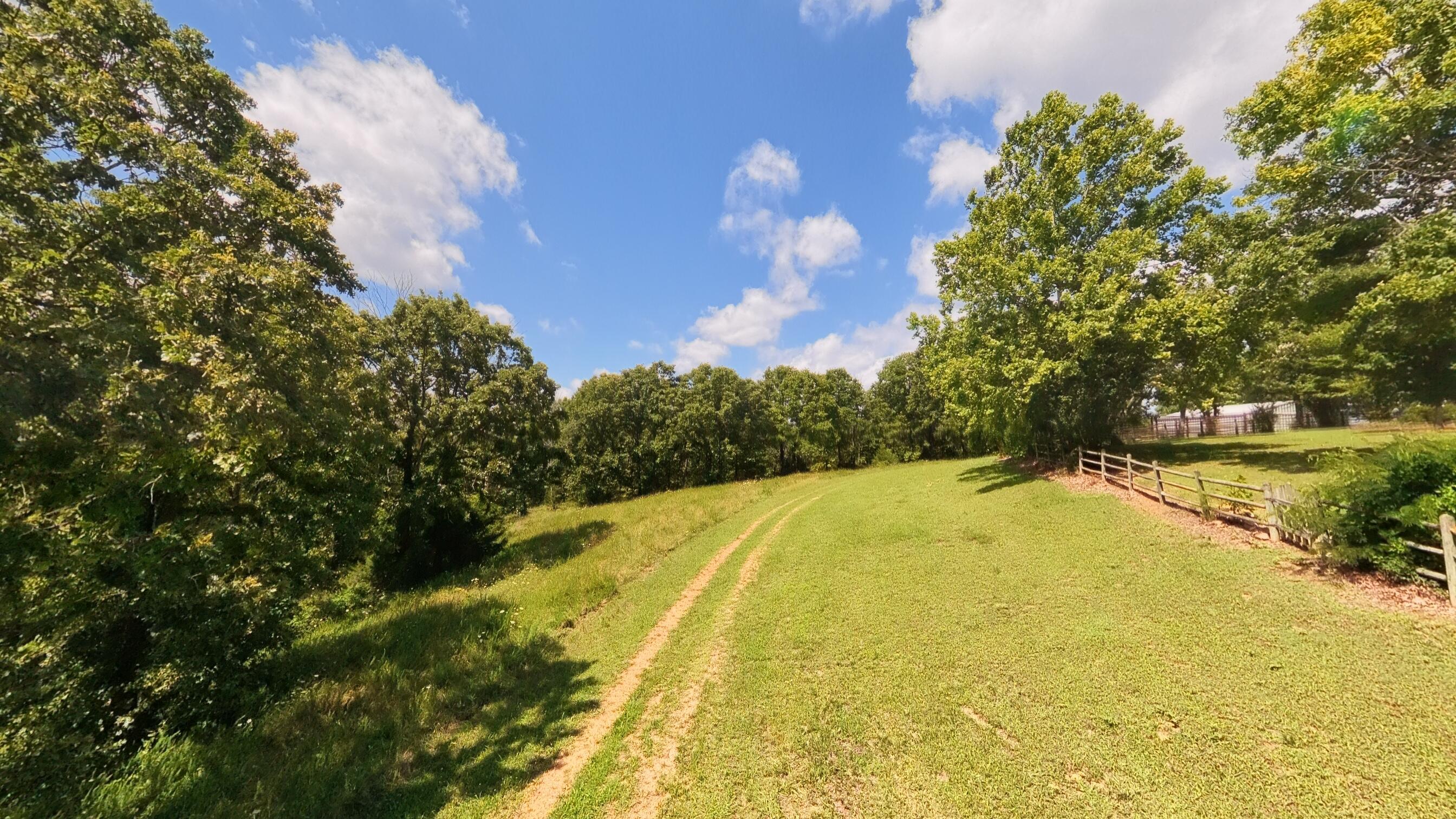 Photo 96 - Farm for sale – 506  Hansen Lane  Gainesville, MO
