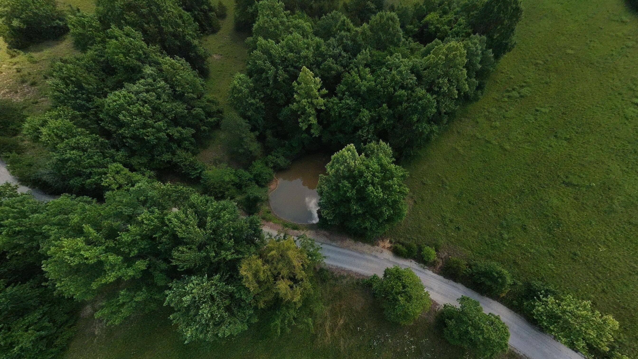 Photo 91 - Farm for sale – 506  Hansen Lane  Gainesville, MO
