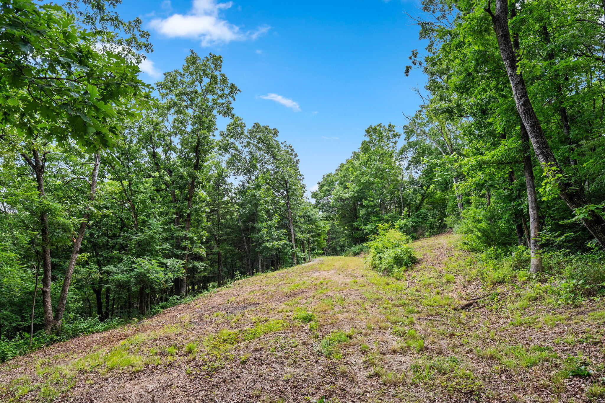 Photo 6 - Land for sale – Tbd  Deer Mountain Road  Walnut Shade, MO