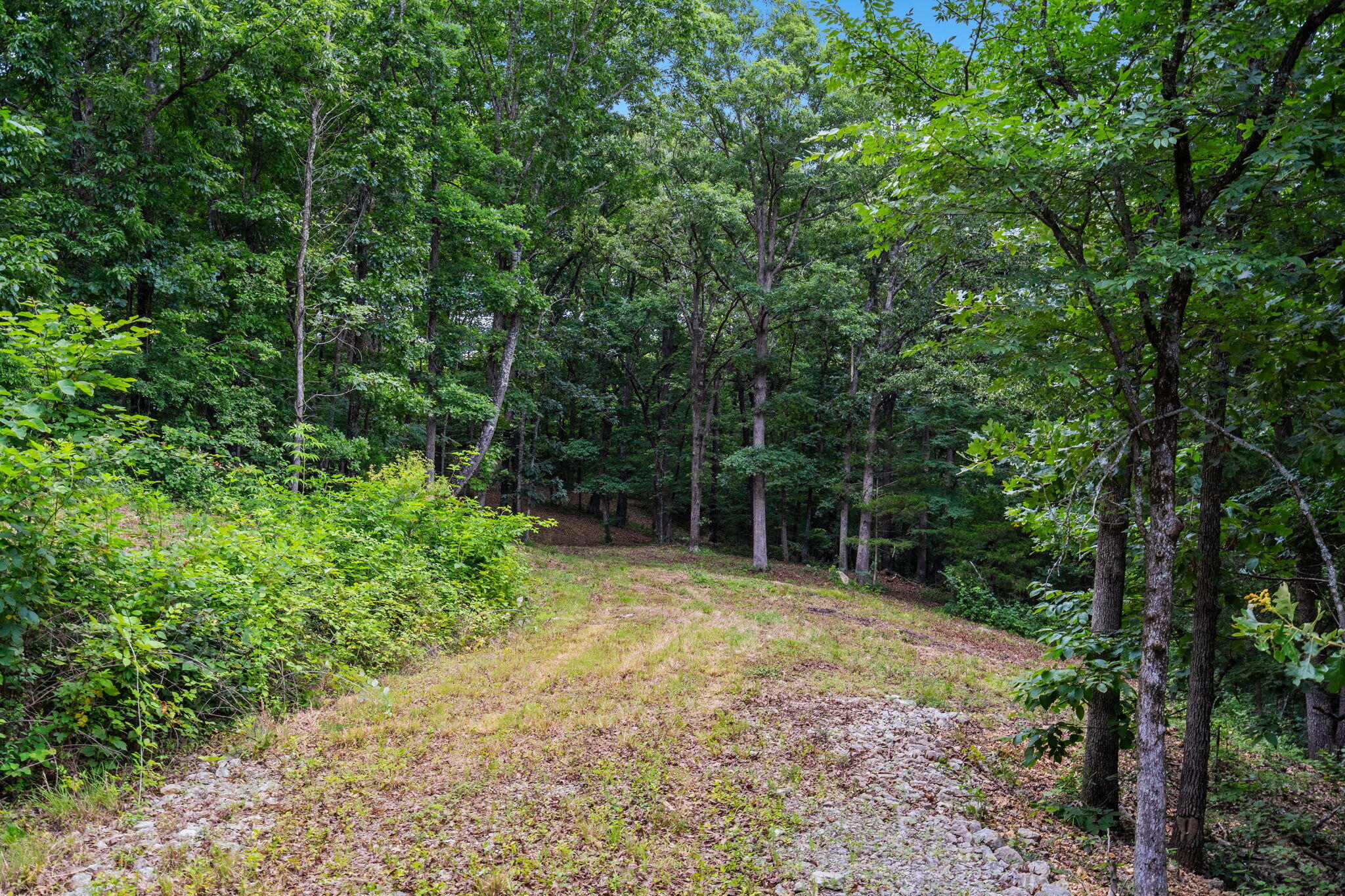 Photo 3 - Land for sale – Tbd  Deer Mountain Road  Walnut Shade, MO