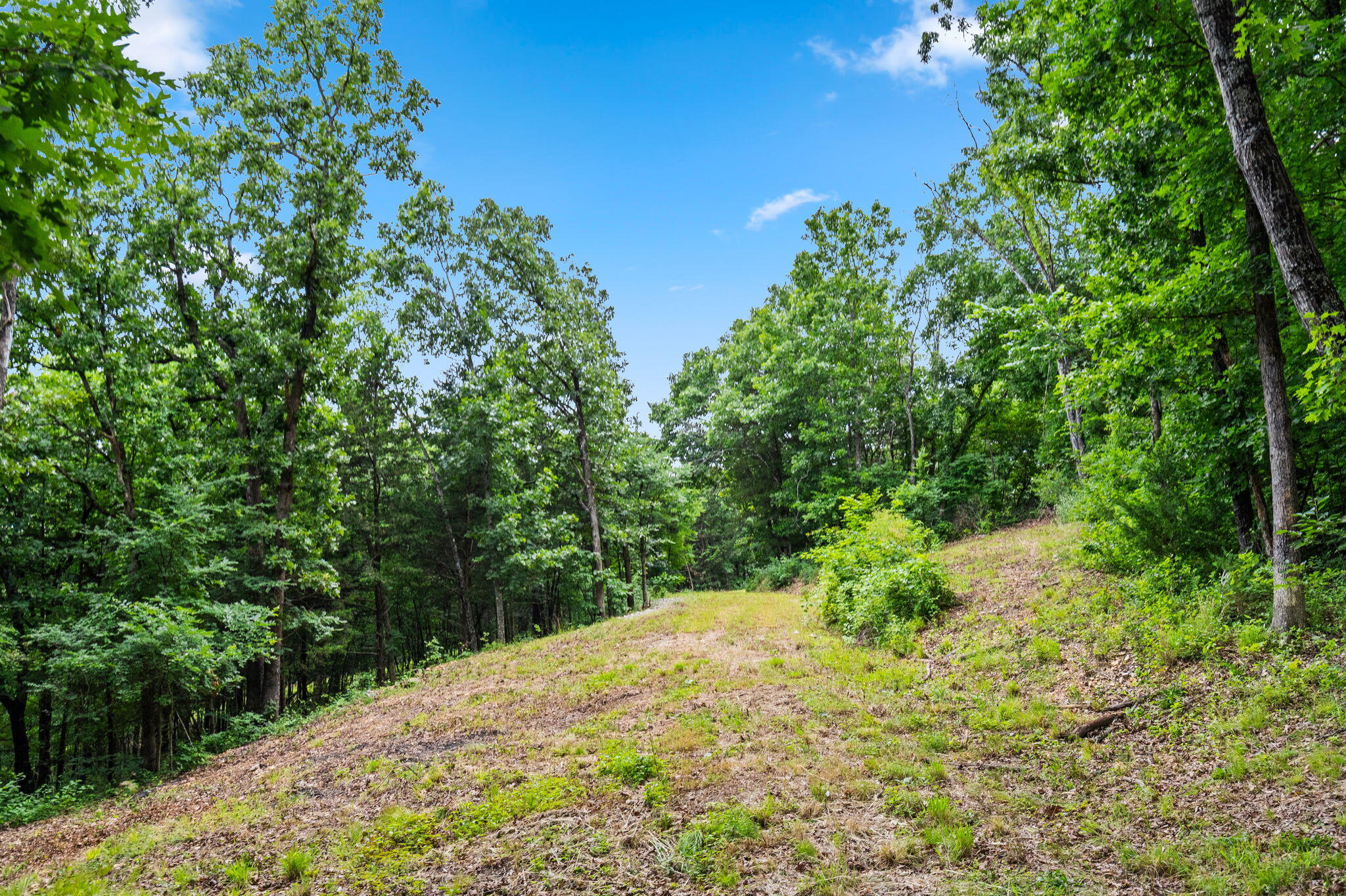Photo 7 - Land for sale – Tbd  Deer Mountain Road  Walnut Shade, MO