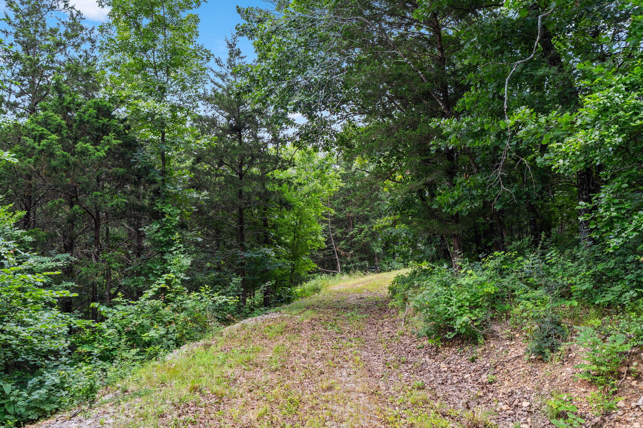 Photo 5 - Land for sale – Tbd  Deer Mountain Road  Walnut Shade, MO