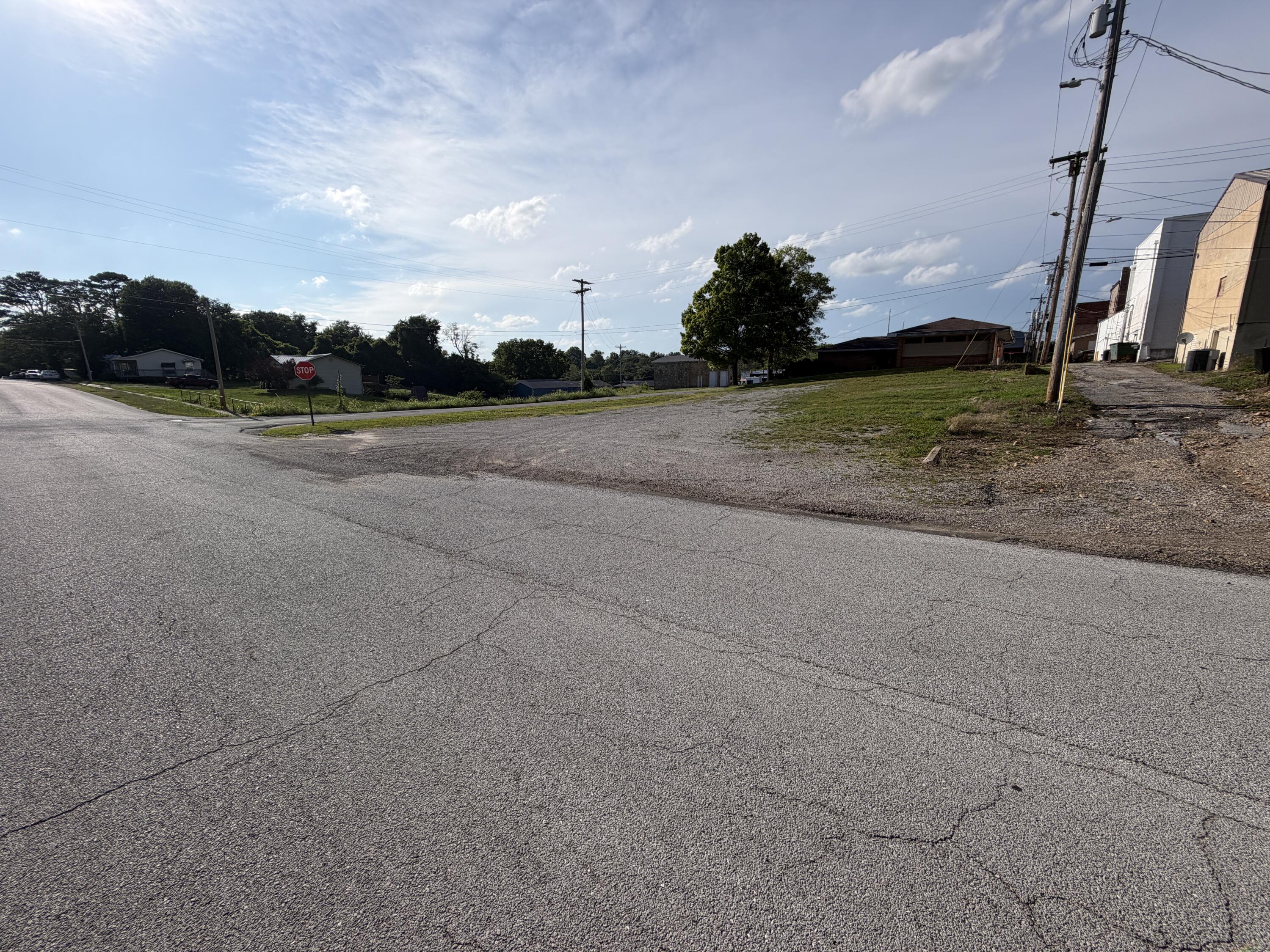 Photo 6 - Land for sale – 130 W Webster Avenue  Ava, MO
