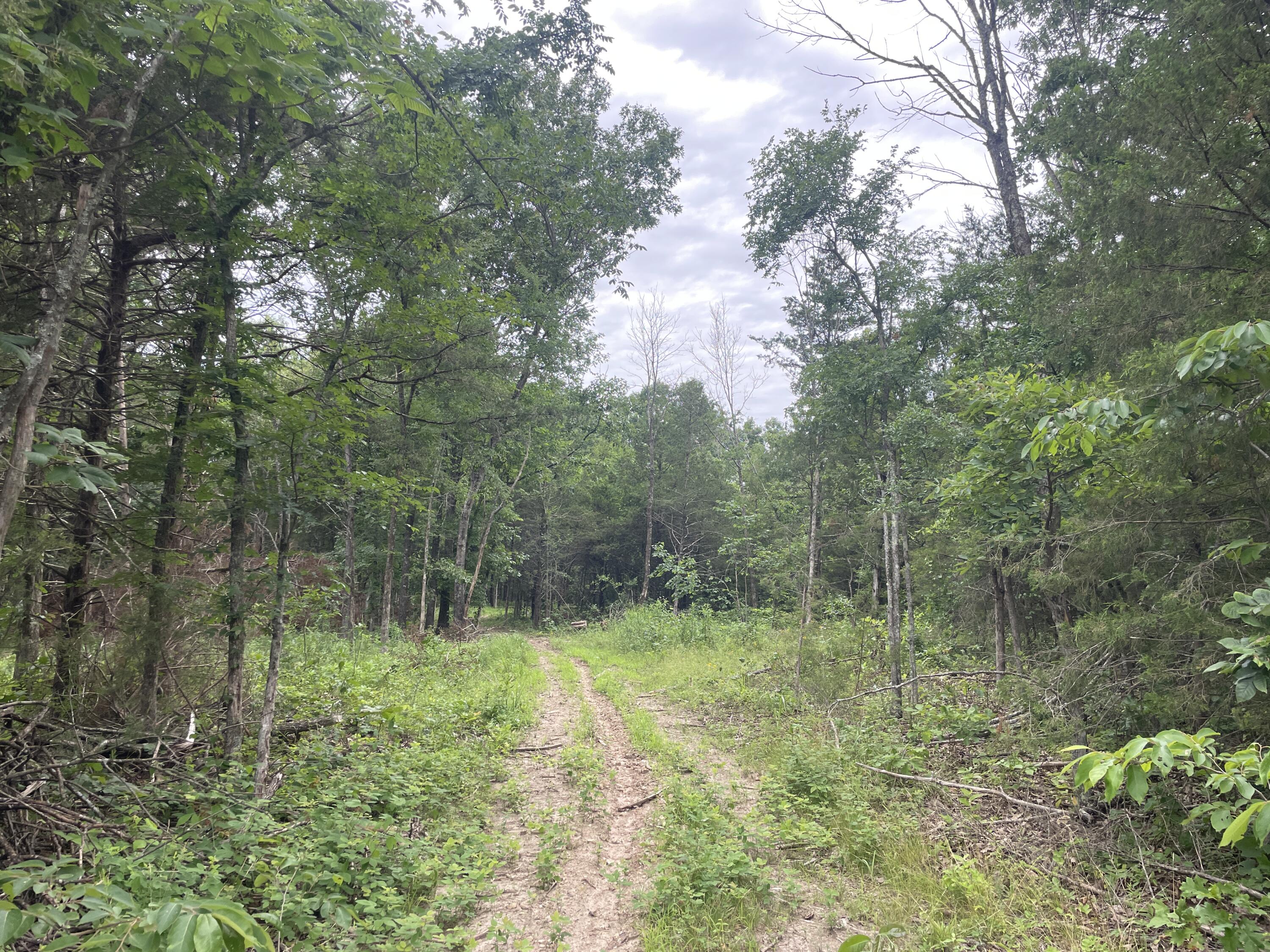 Photo 10 - Land for sale – 2980  County Road 855   Thornfield, MO
