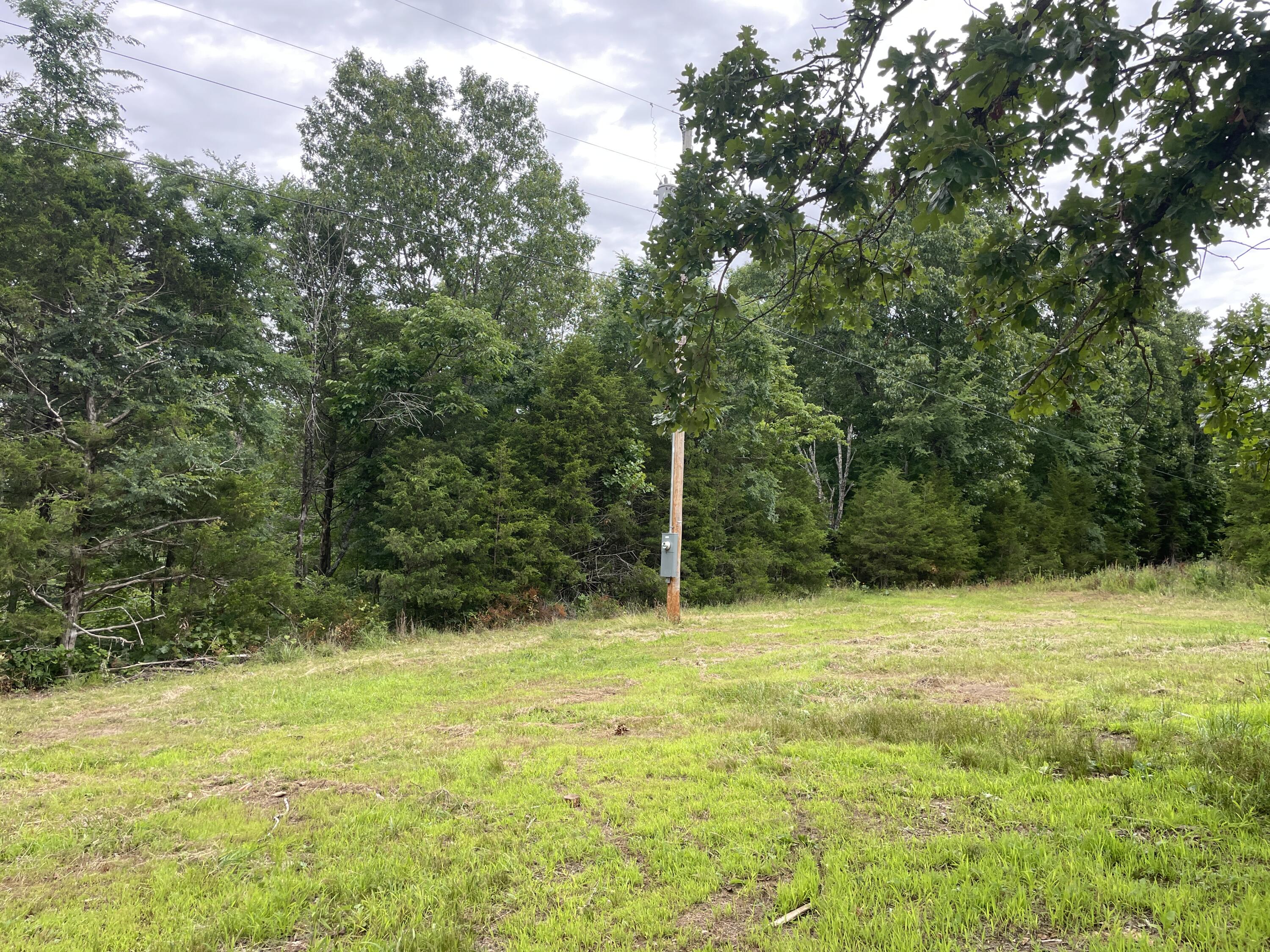 Photo 14 - Land for sale – 2980  County Road 855   Thornfield, MO
