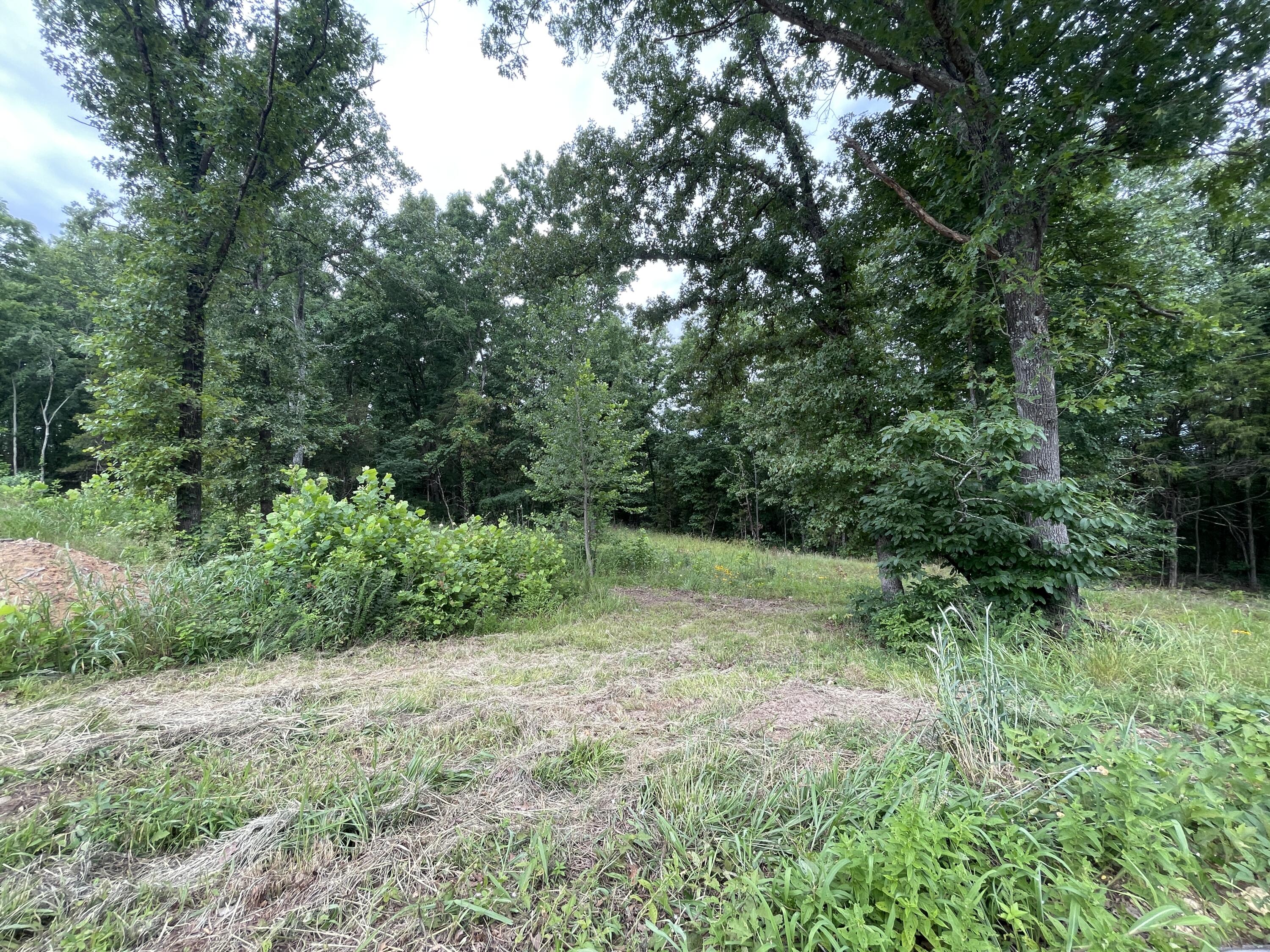 Photo 13 - Land for sale – 2980  County Road 855   Thornfield, MO
