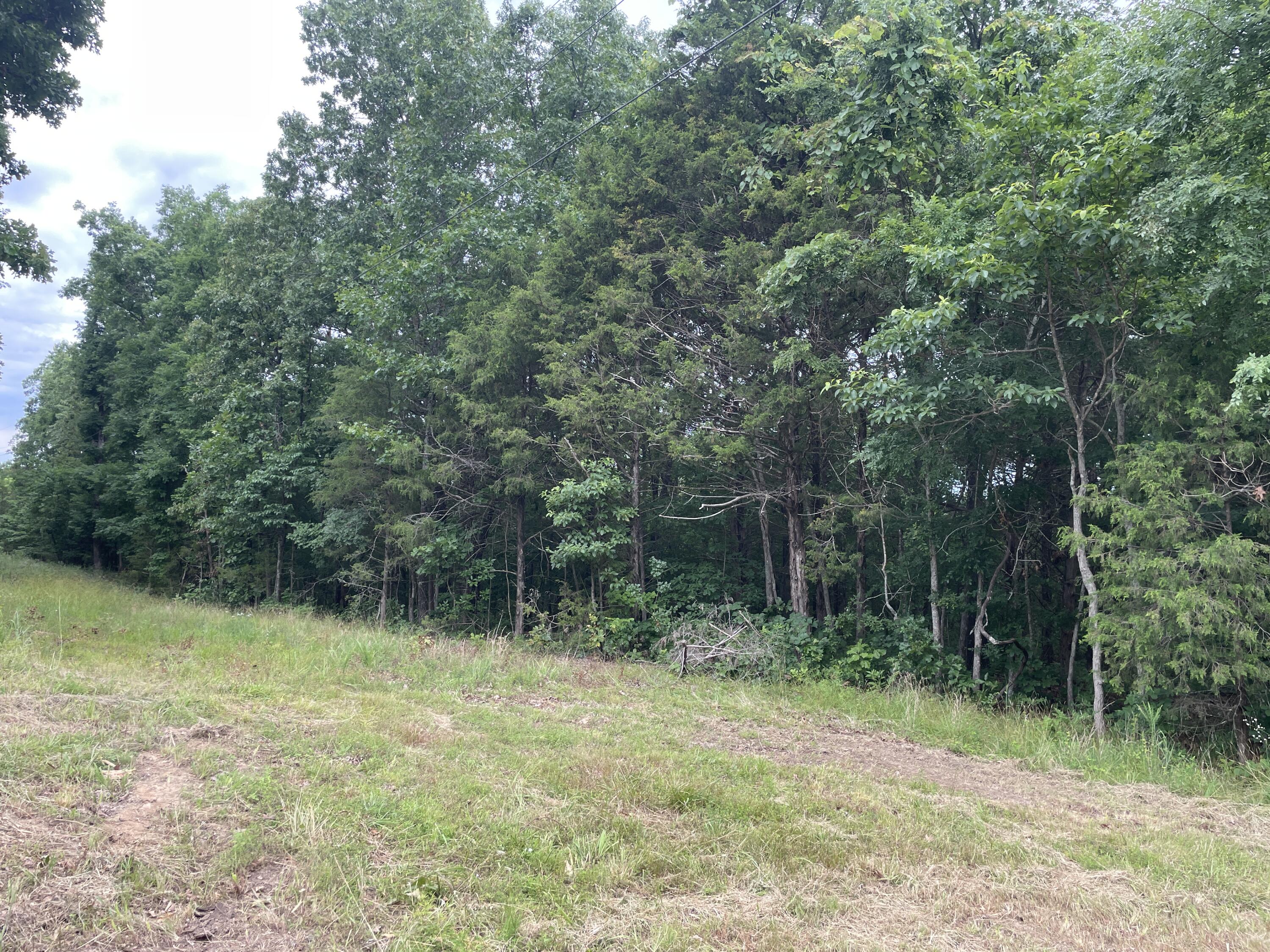 Photo 15 - Land for sale – 2980  County Road 855   Thornfield, MO