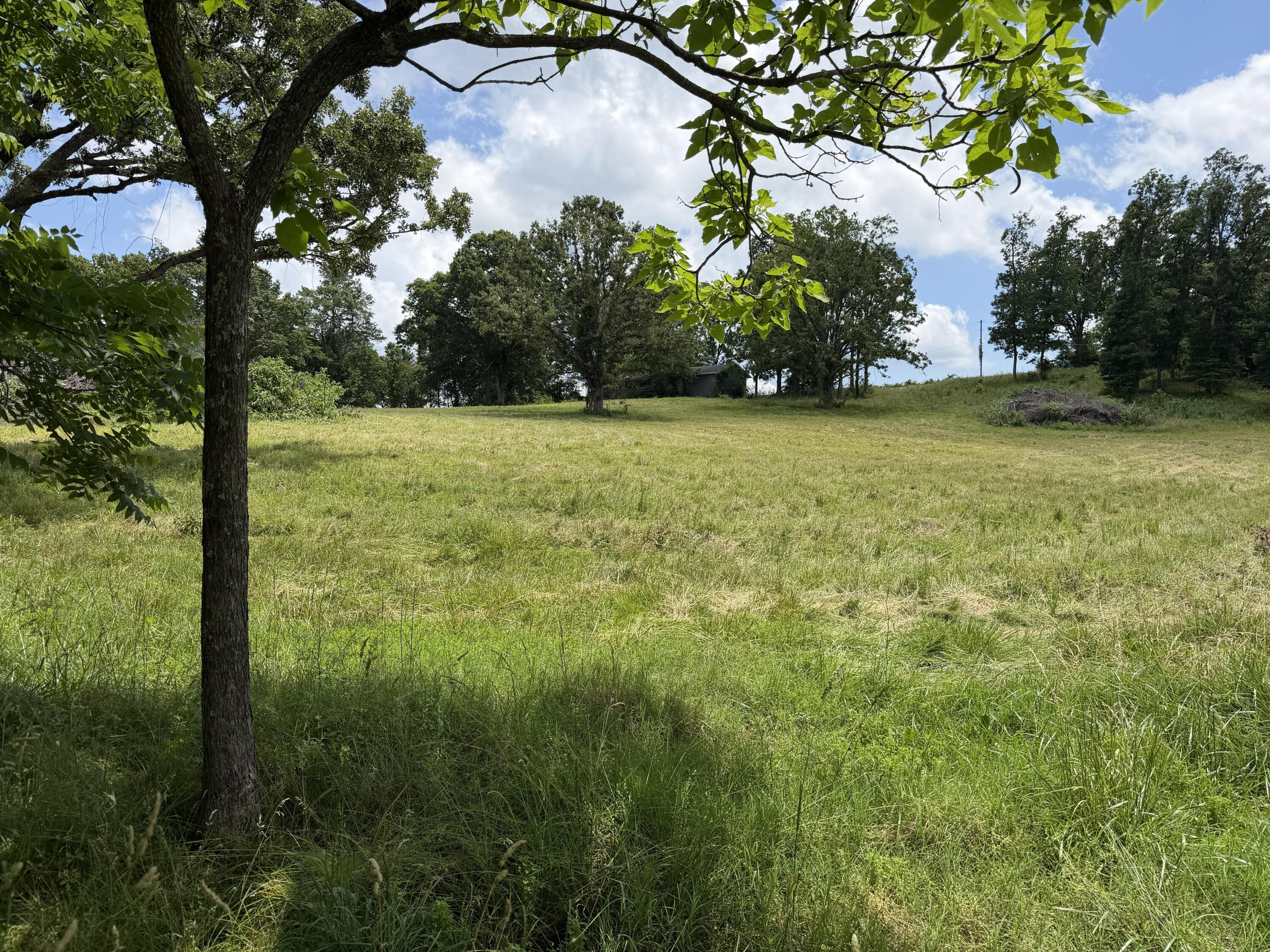 Photo 8 - Land for sale – 1205 E Washington Avenue  Ava, MO