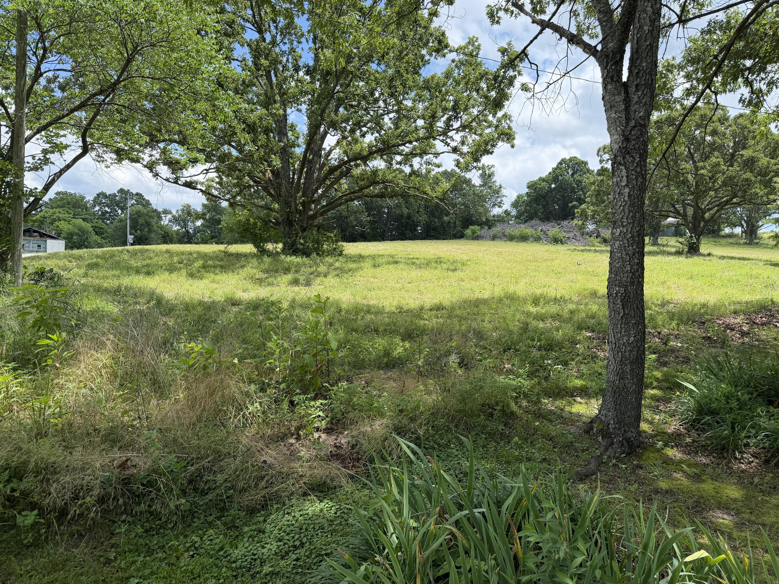 Photo 5 - Land for sale – 1205 E Washington Avenue  Ava, MO