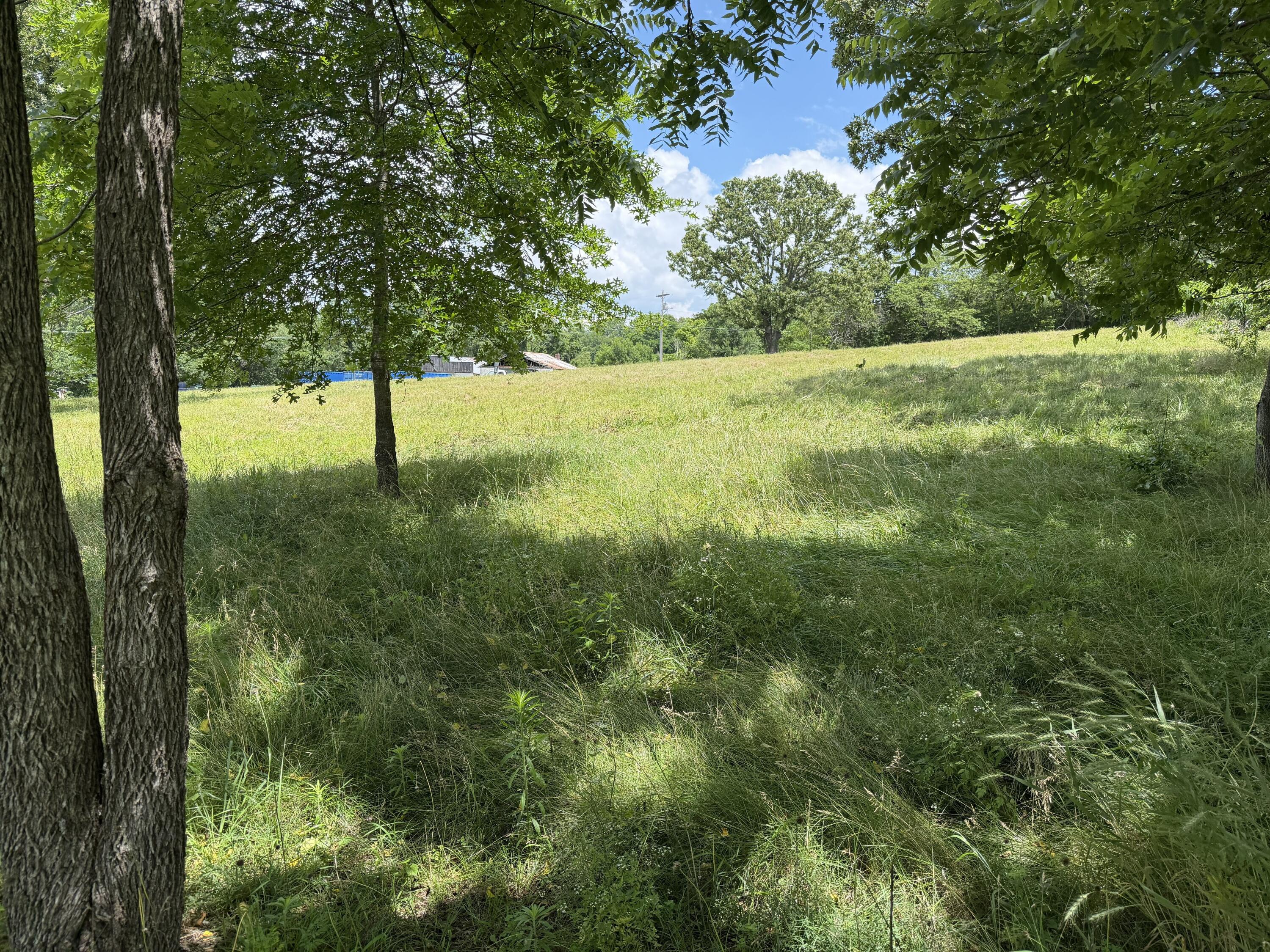 Photo 7 - Land for sale – 1205 E Washington Avenue  Ava, MO