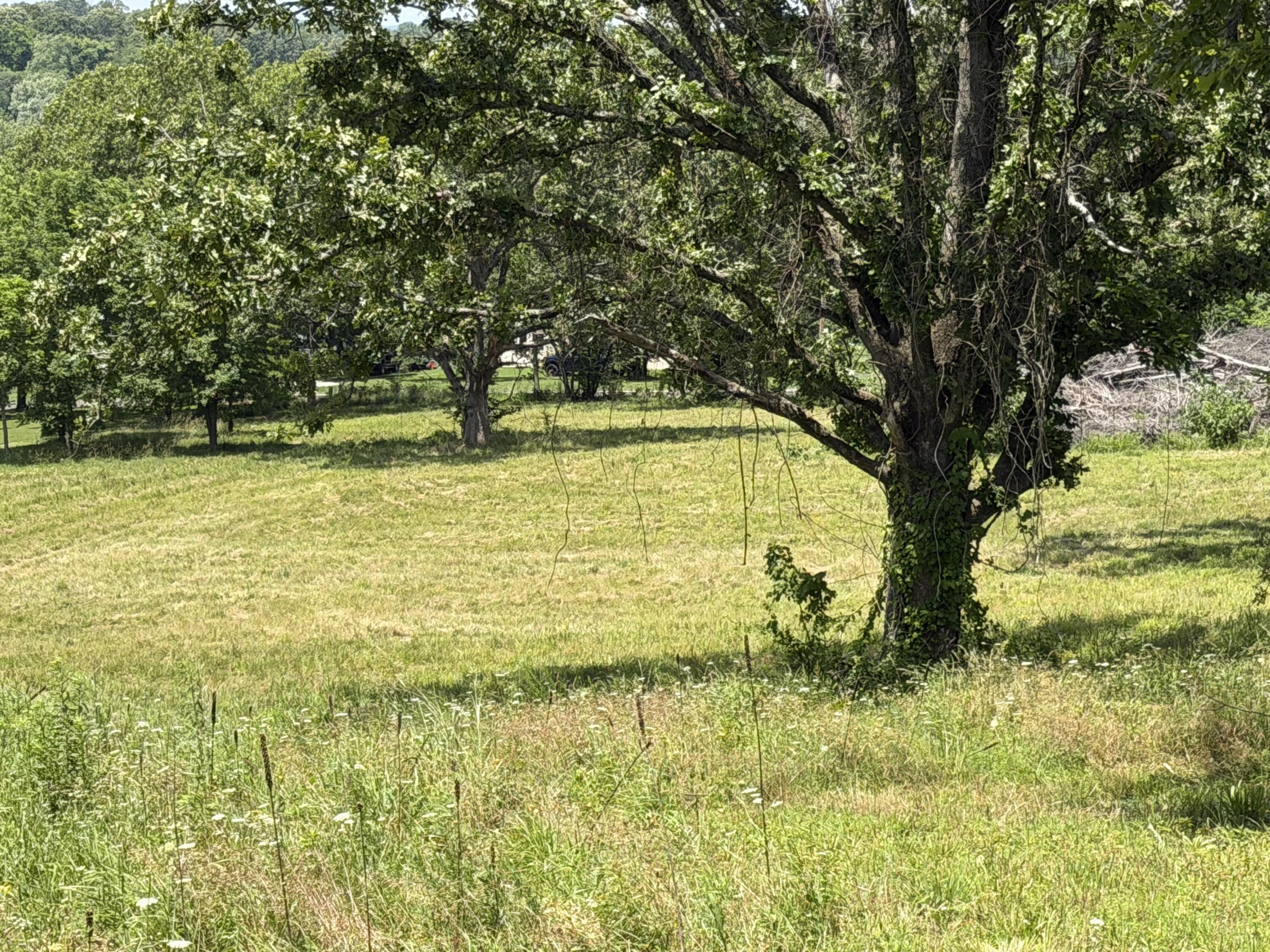Photo 11 - Land for sale – 1205 E Washington Avenue  Ava, MO