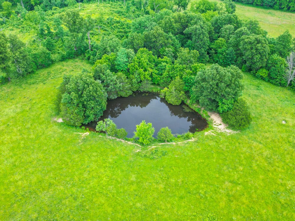Photo 4 - Land for sale – 258  State Road Yy   Tunas, MO